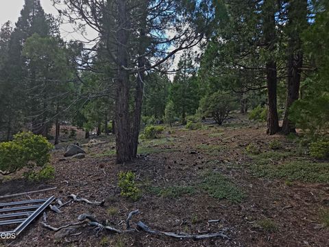 Tiny photo for 31276 Seal Lane, Bonanza, OR 97623 (MLS # 220224566)