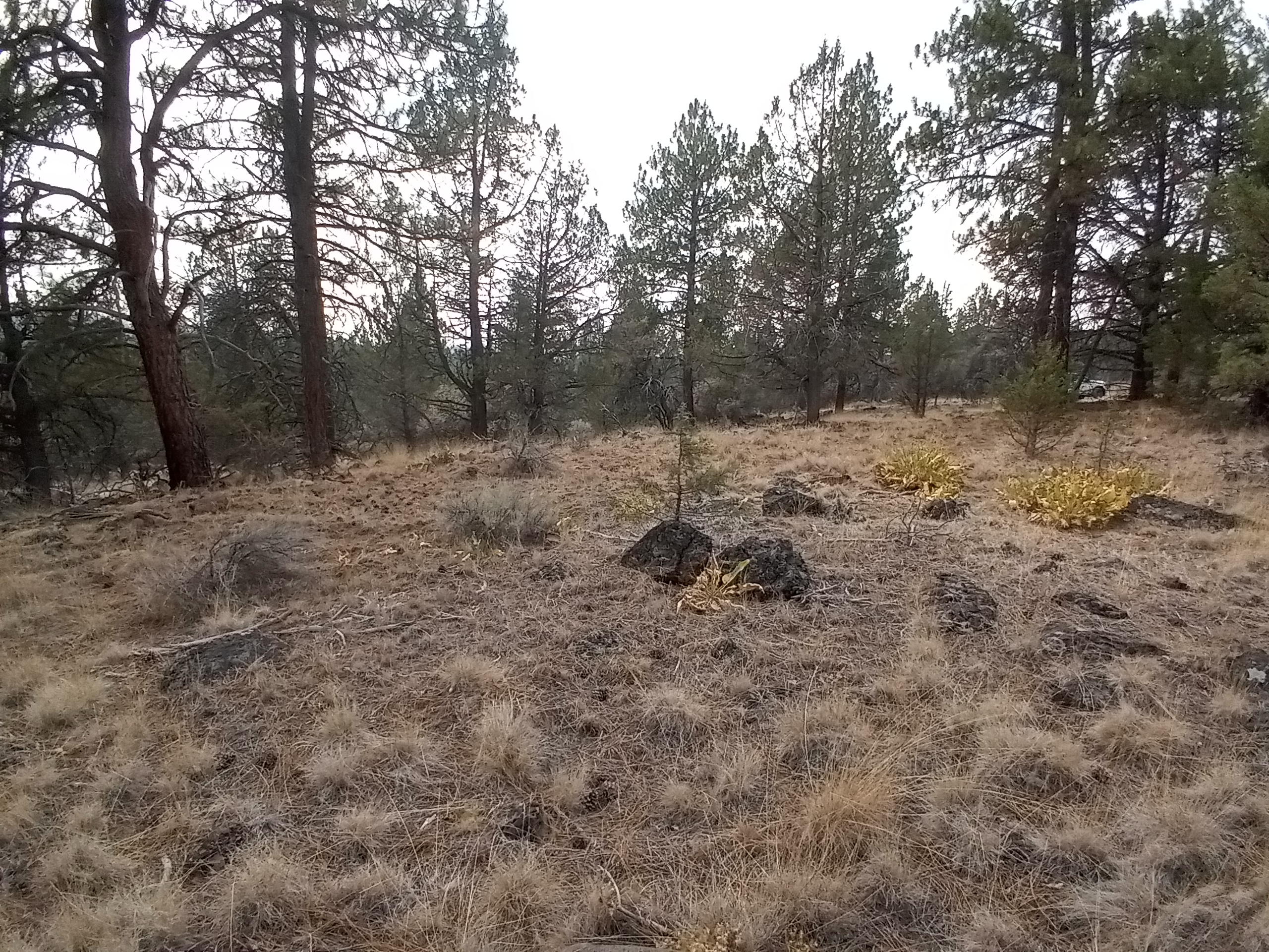 Klamath Falls Forest Estates -Hwy 66 Unit -Plat No. 2 - Land
