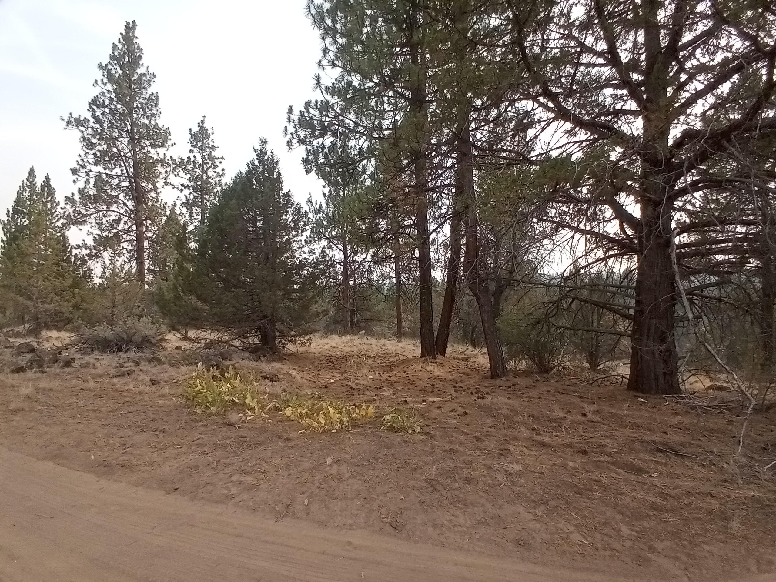 Klamath Falls Forest Estates -Hwy 66 Unit -Plat No. 2 - Land