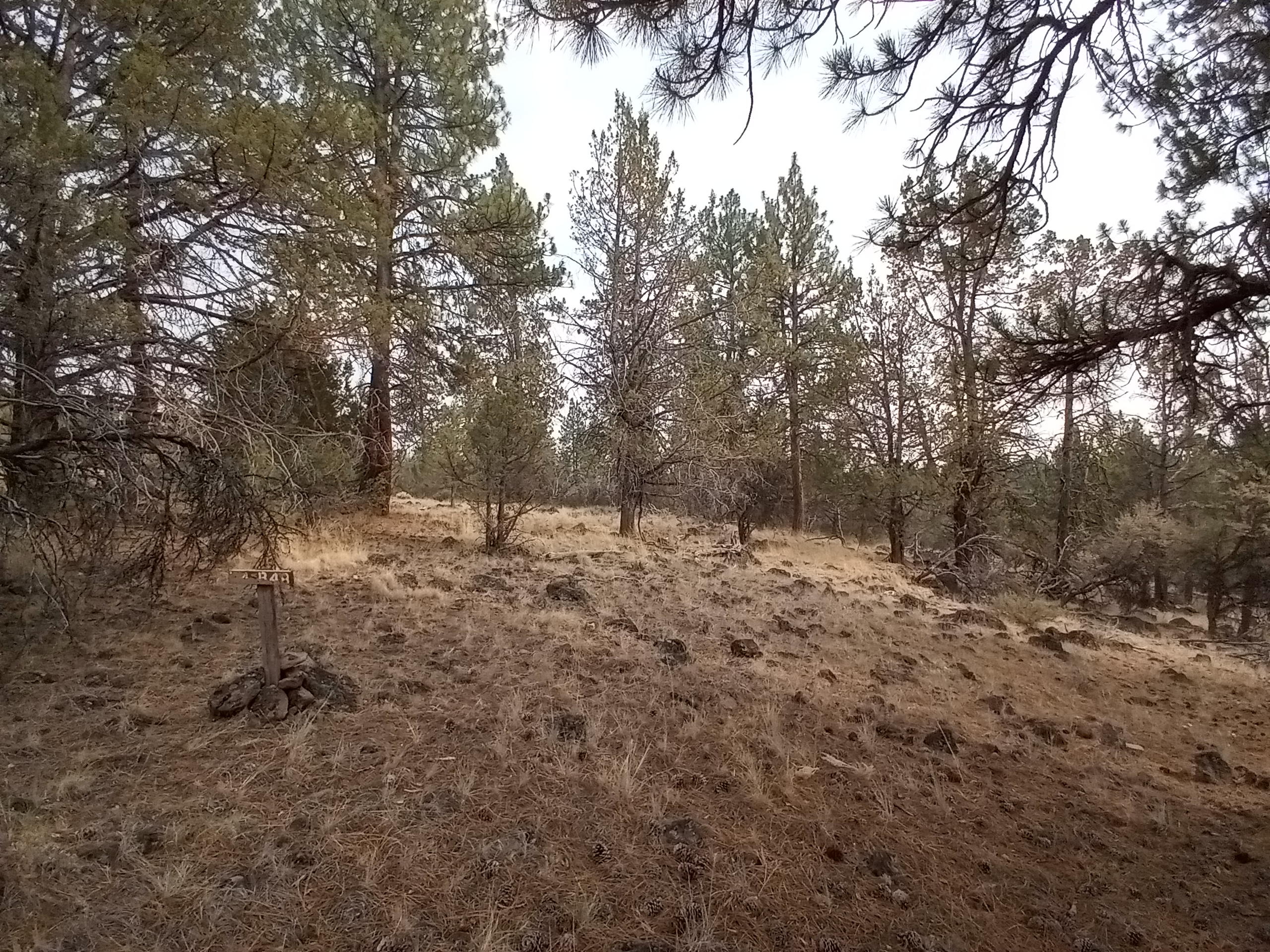 Klamath Falls Forest Estates -Hwy 66 Unit -Plat No. 2 - Land