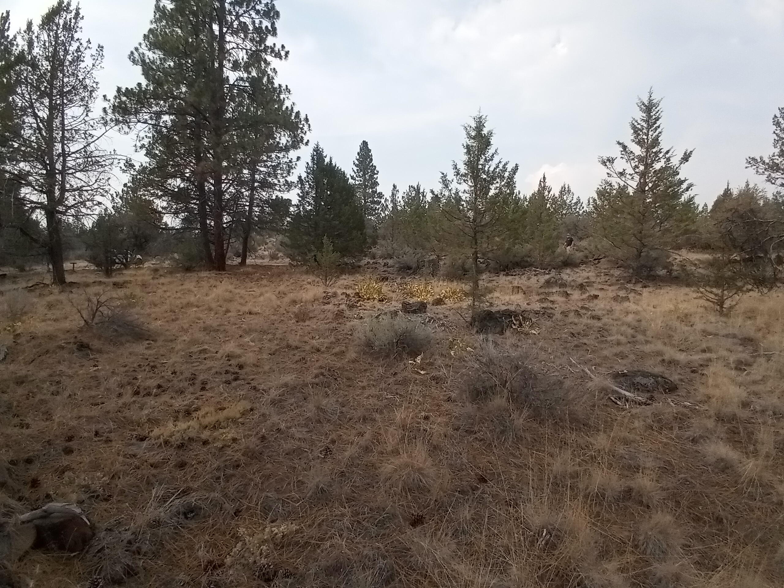 Klamath Falls Forest Estates -Hwy 66 Unit -Plat No. 2 - Land
