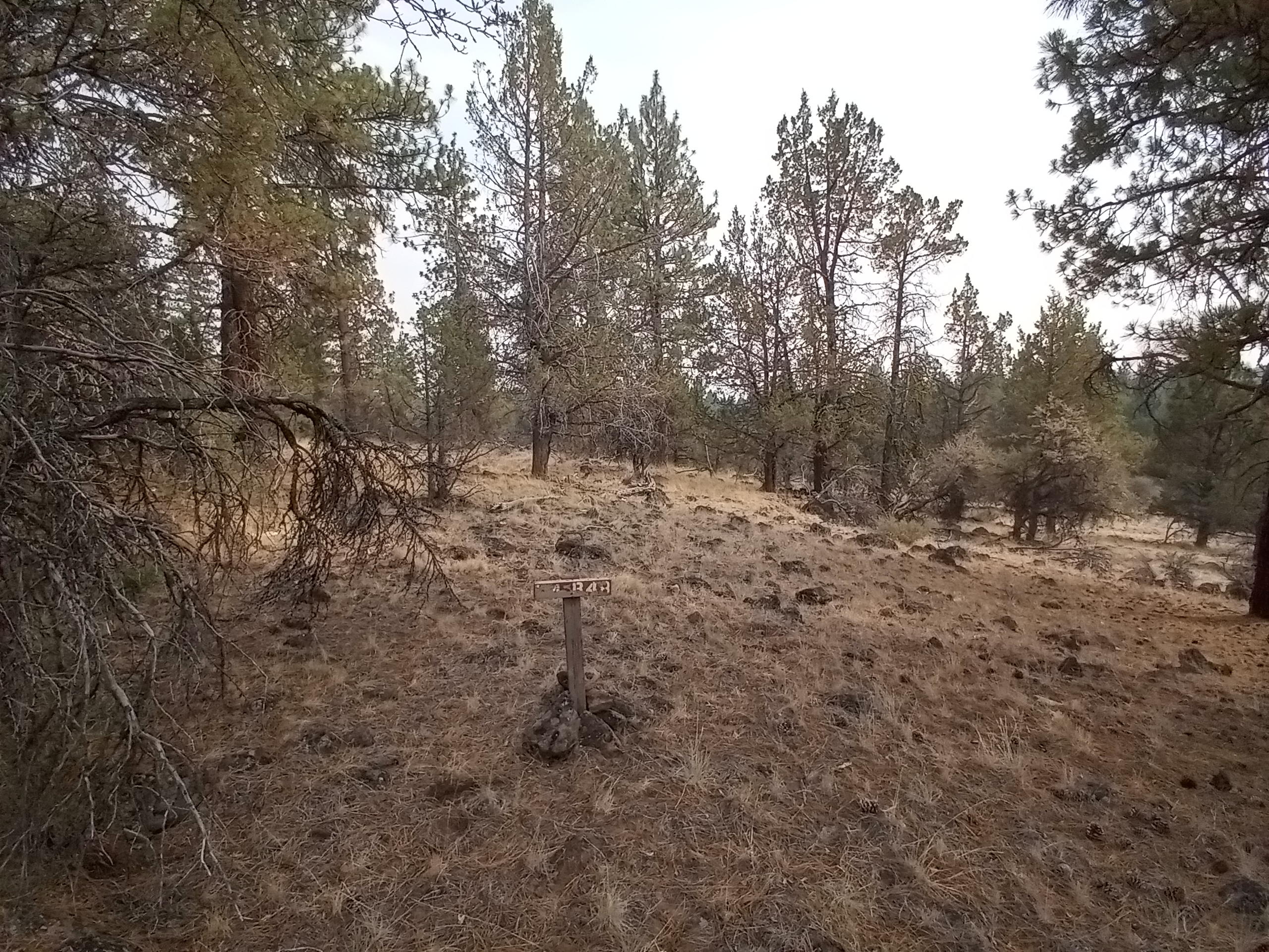 Klamath Falls Forest Estates -Hwy 66 Unit -Plat No. 2 - Land
