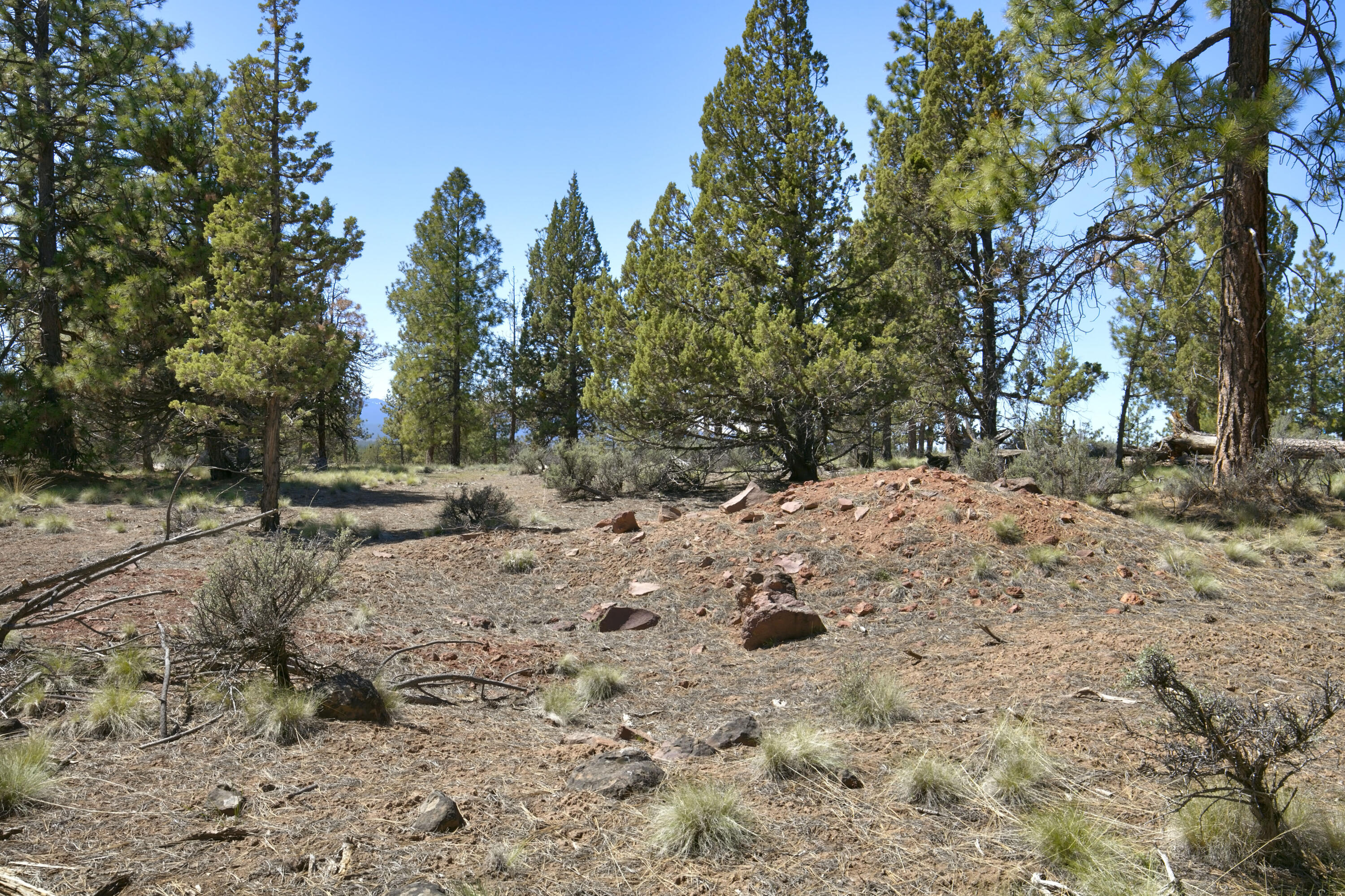 Skyline Ranch - Land