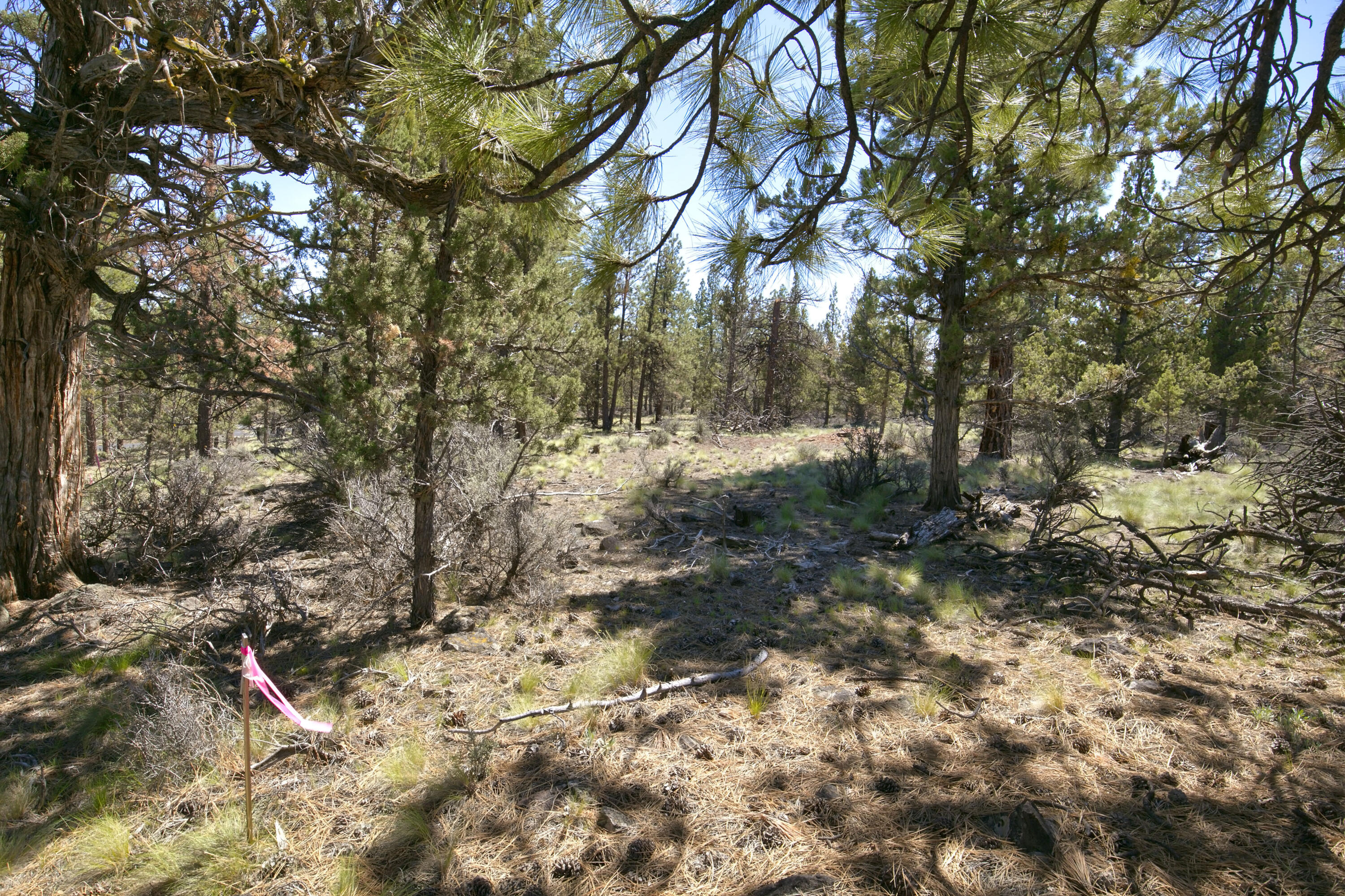 Skyline Ranch - Land