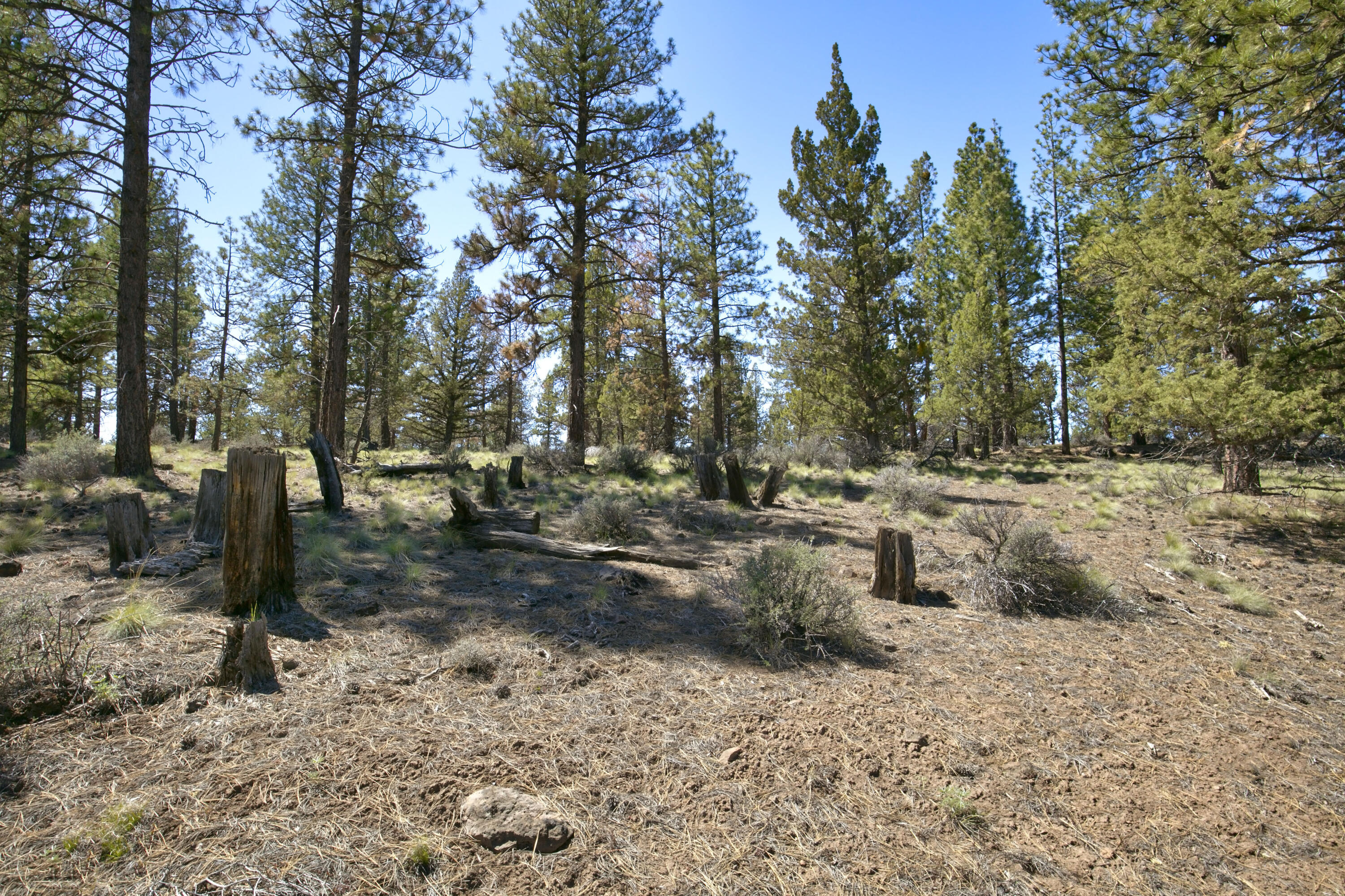 Skyline Ranch - Land