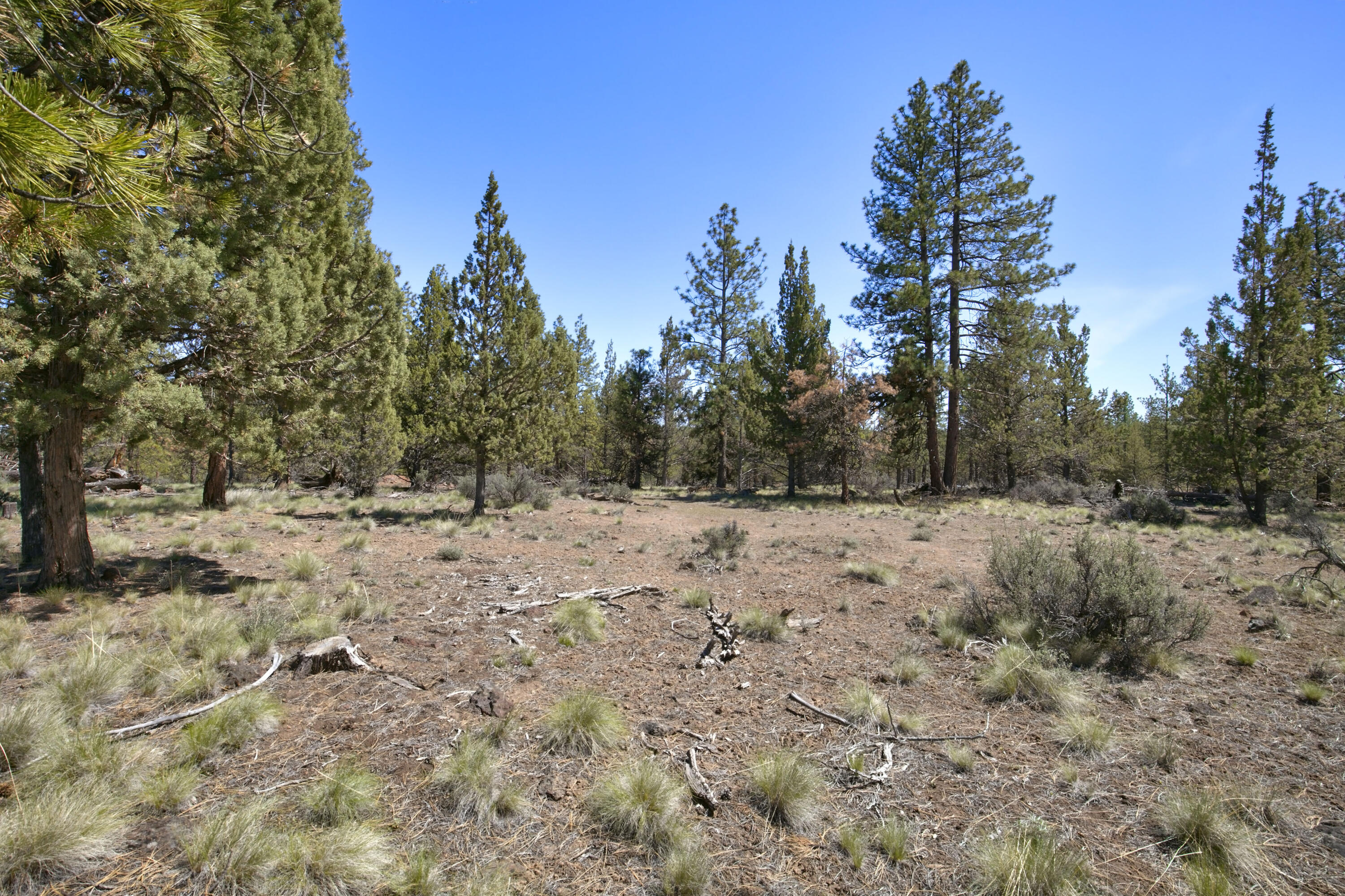 Skyline Ranch - Land