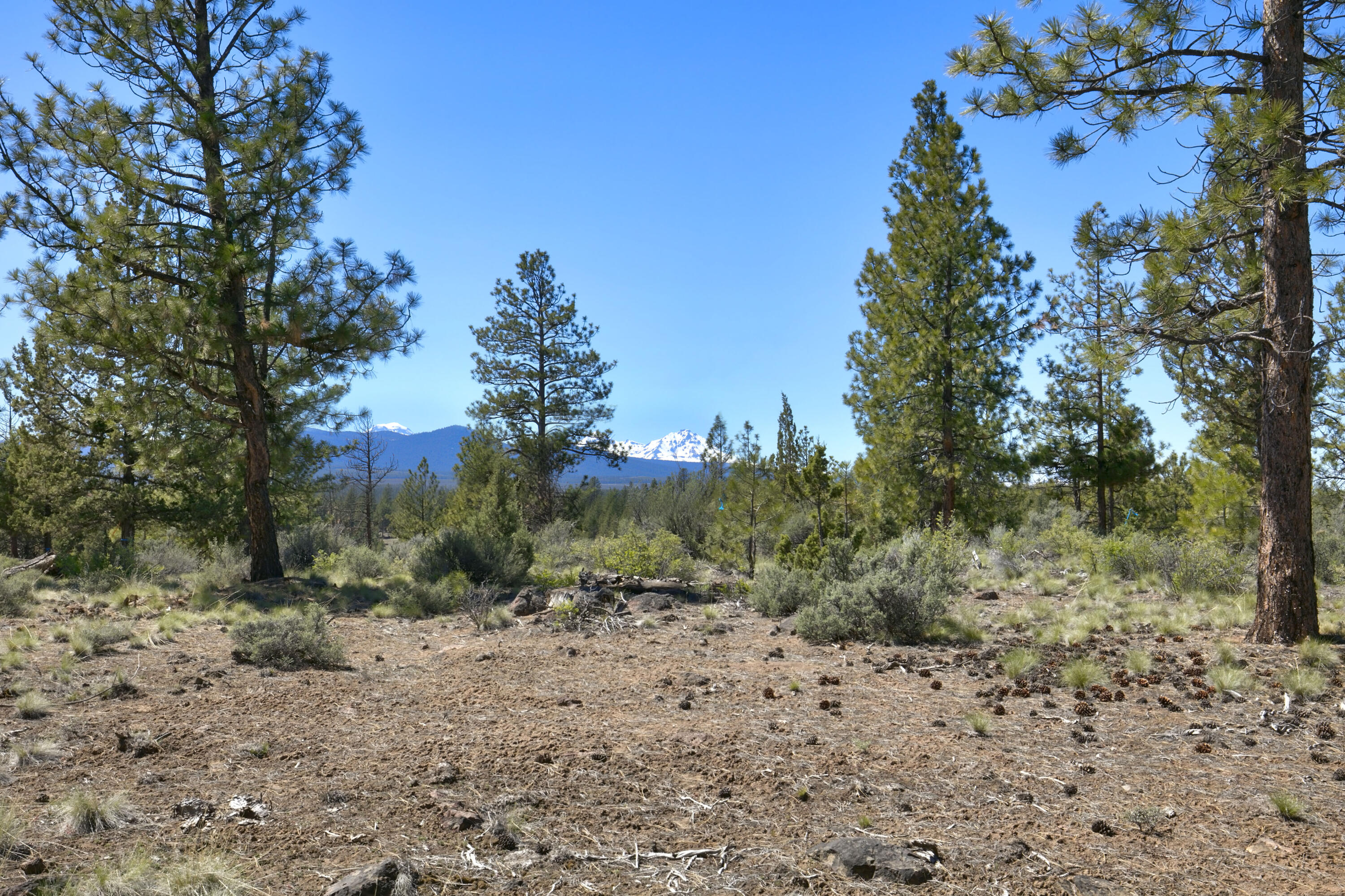 Skyline Ranch - Land