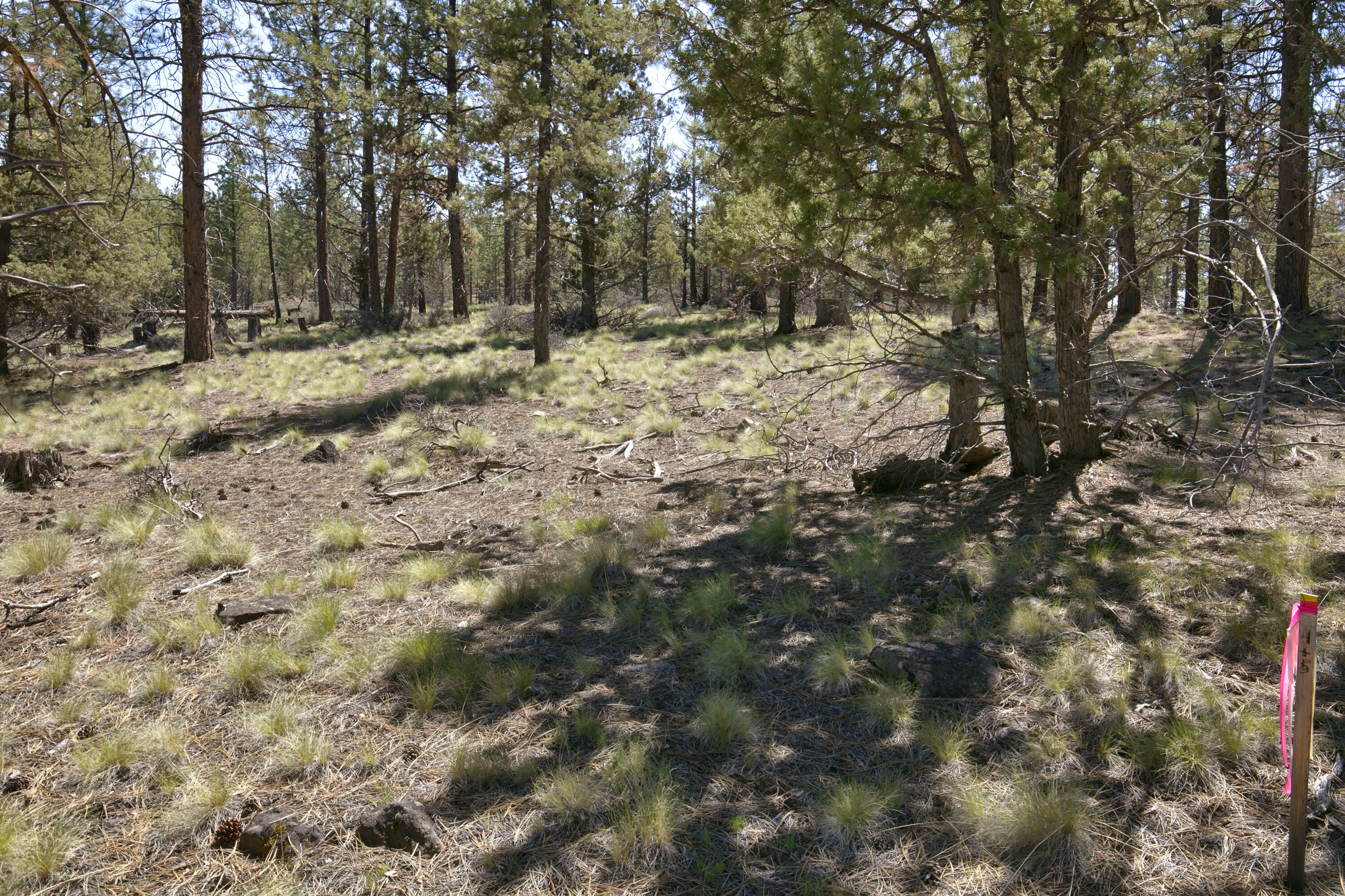 Skyline Ranch - Land