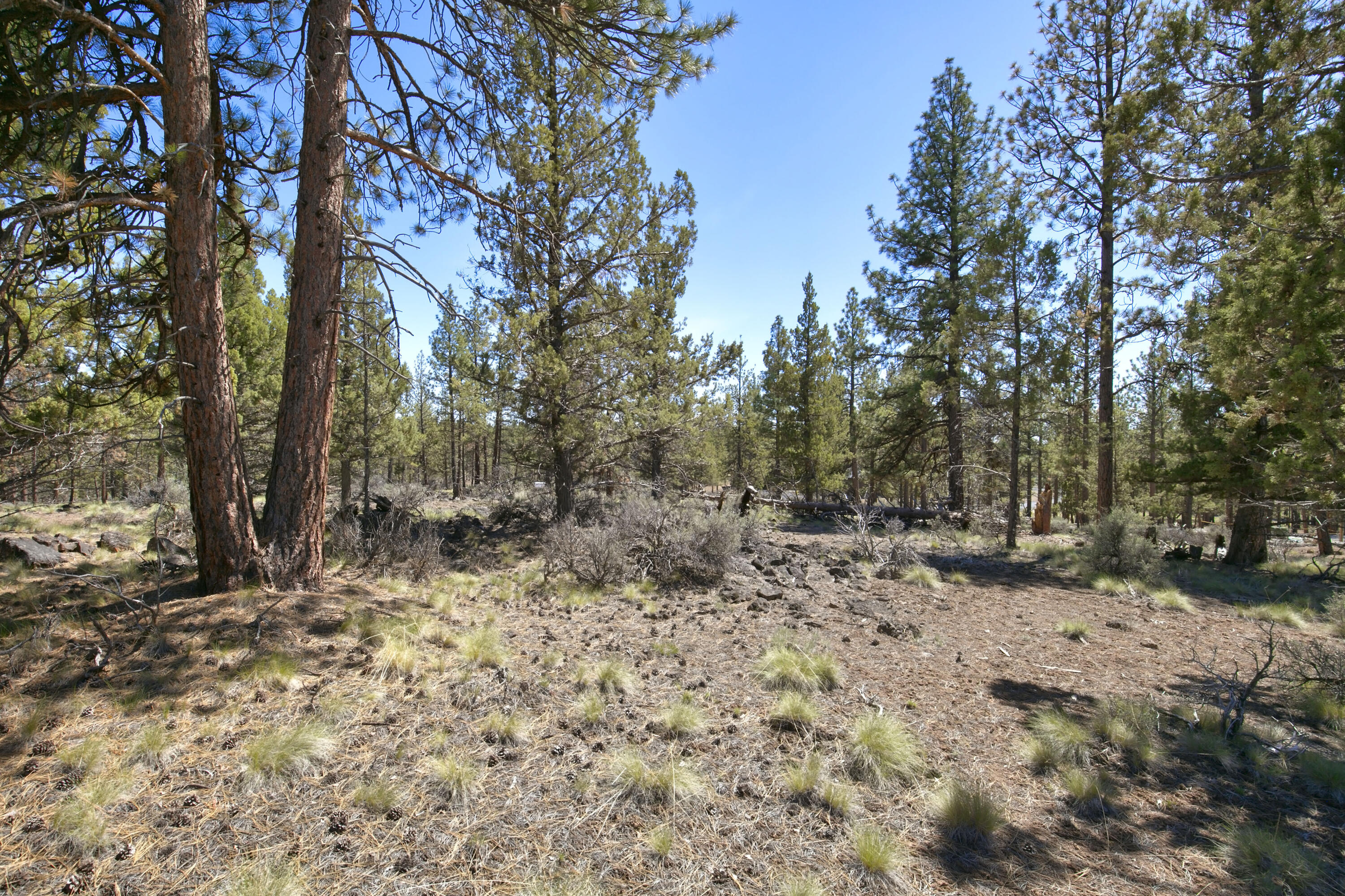 Skyline Ranch - Land