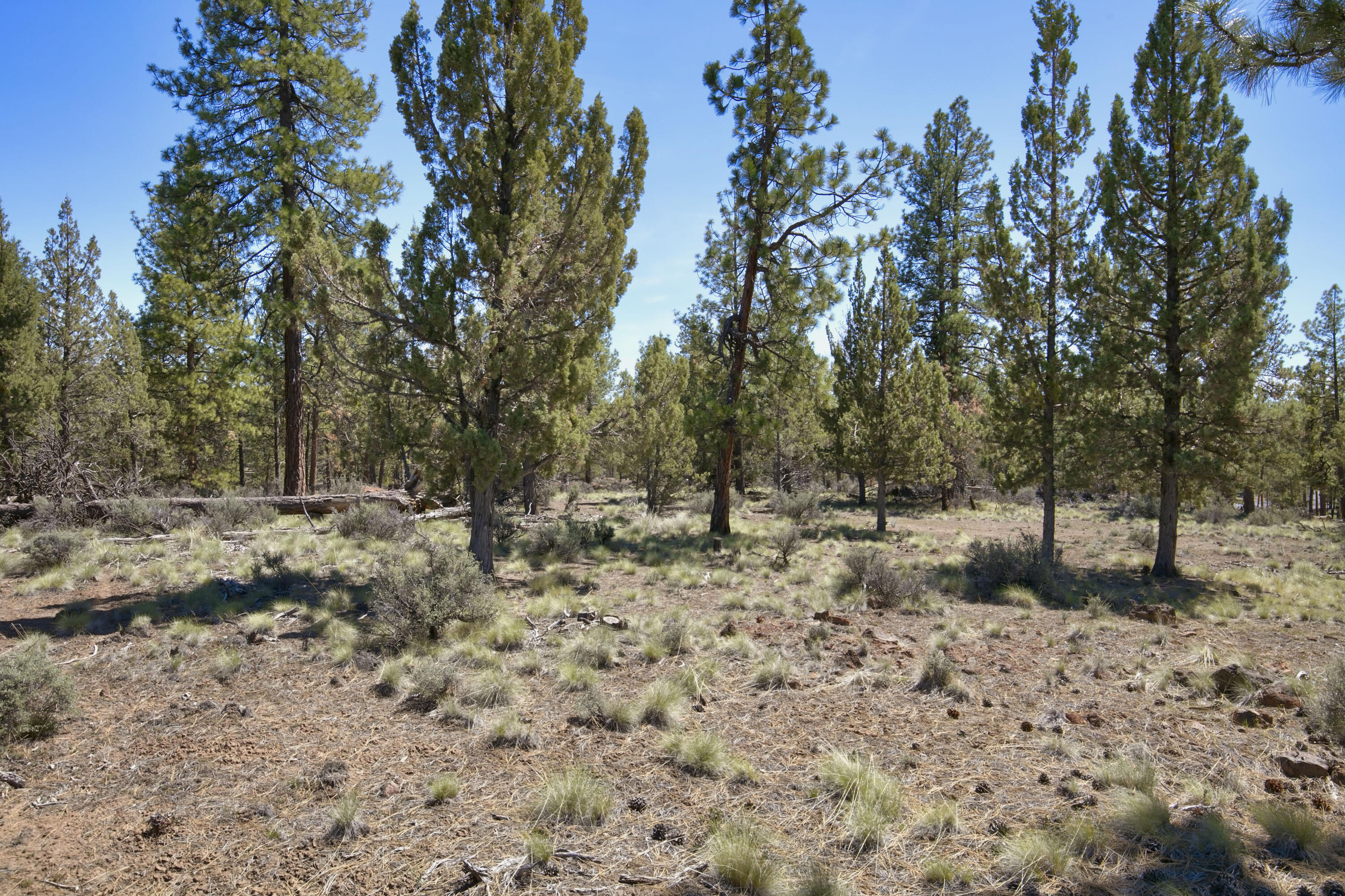 Skyline Ranch - Land