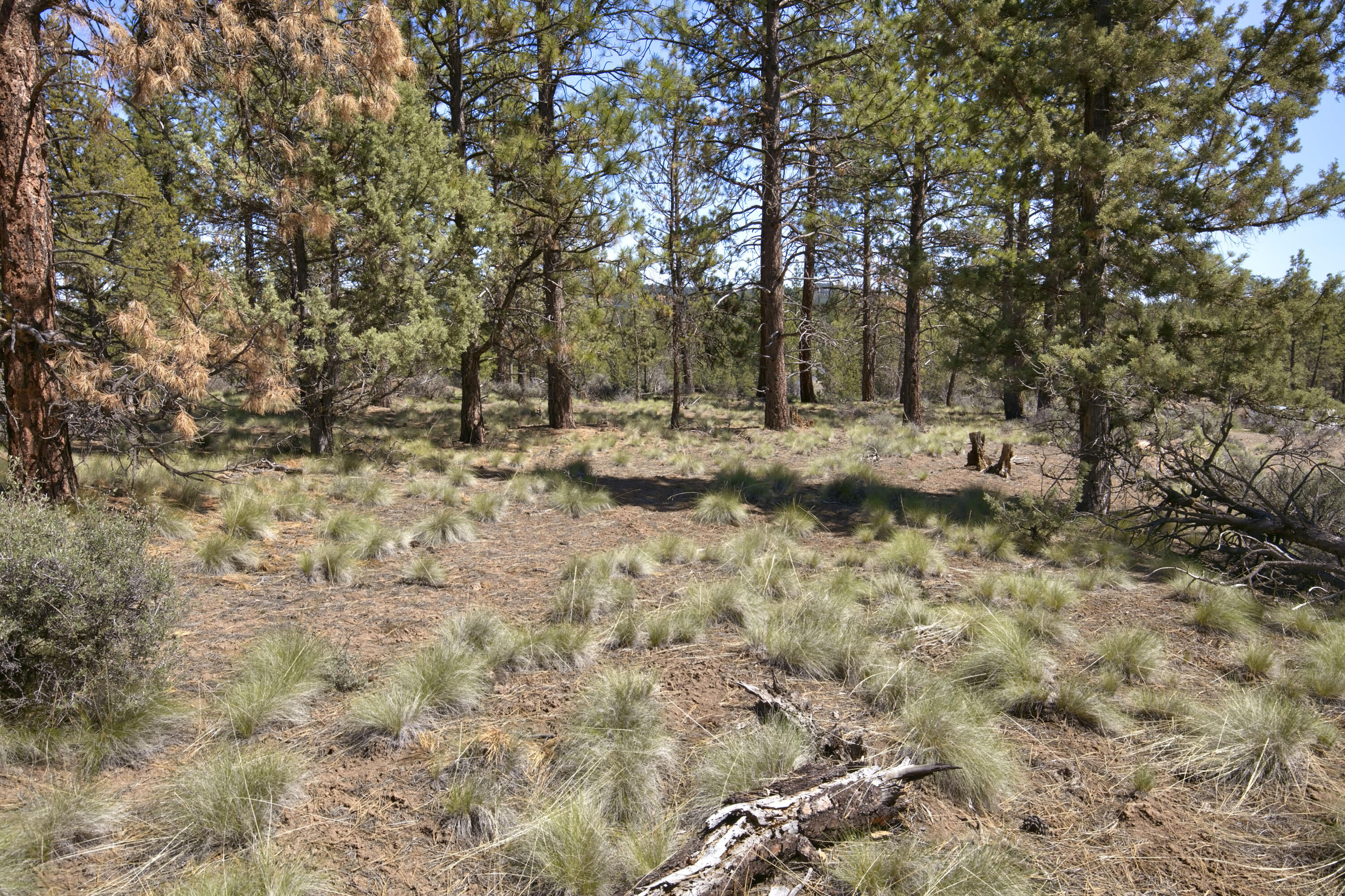 Skyline Ranch - Land