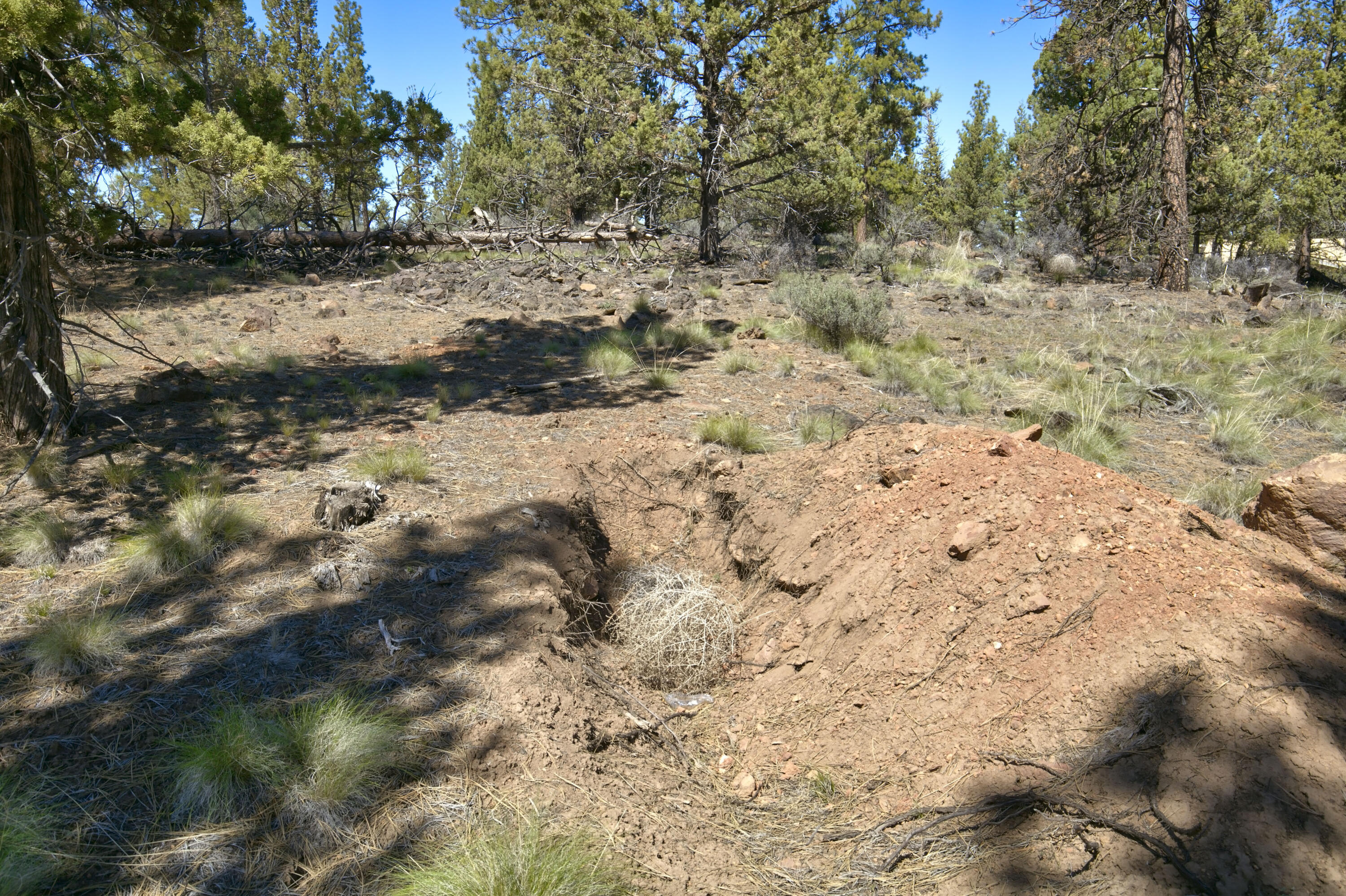 Skyline Ranch - Land