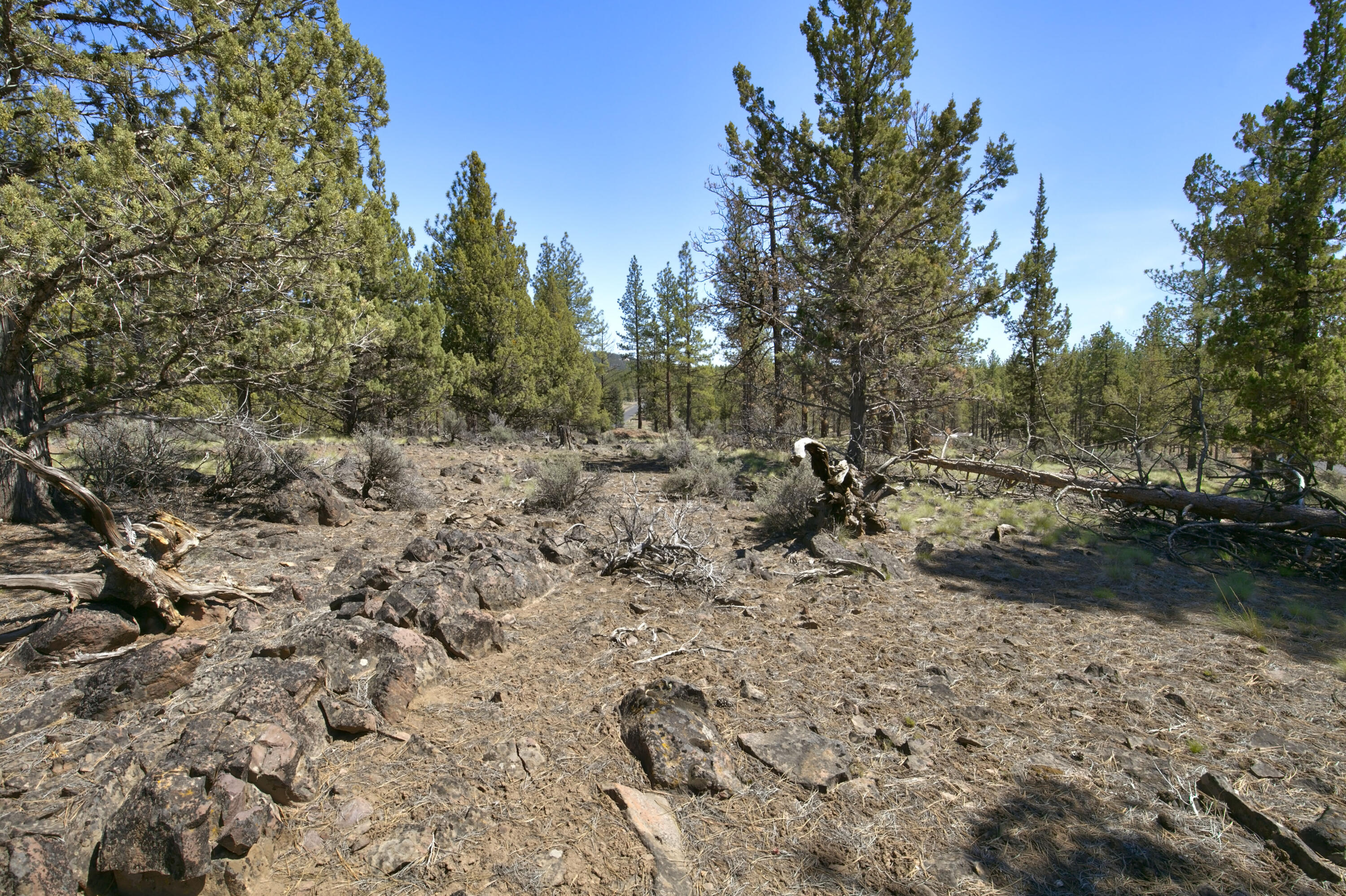 Skyline Ranch - Land