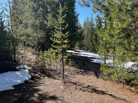 Tiny photo for 33 Emerald Meadows Way, Crescent Lake, OR 97733 (MLS # 220222983)