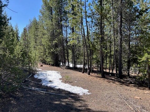 Photo of 33 Emerald Meadows Way, Crescent Lake, OR 97733 (MLS # 220222983)