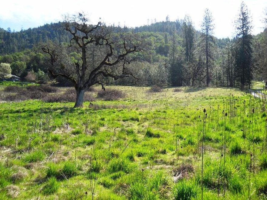 Close in rural! Approximately 5 minutes from Interstate 5 and the town of Rogue River. Build your dream home or bring in a manufactured home. Home site approval, standard cap & fill septic installed and a well that came in at 40+ GPM when drilled in July 1982. Buyer responsible to perform all due diligence.