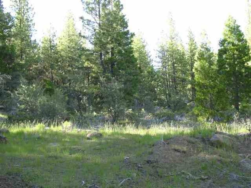 Bring Your Horses. High Mountain Meadow Mixed With Timber. Good Cabin Site.