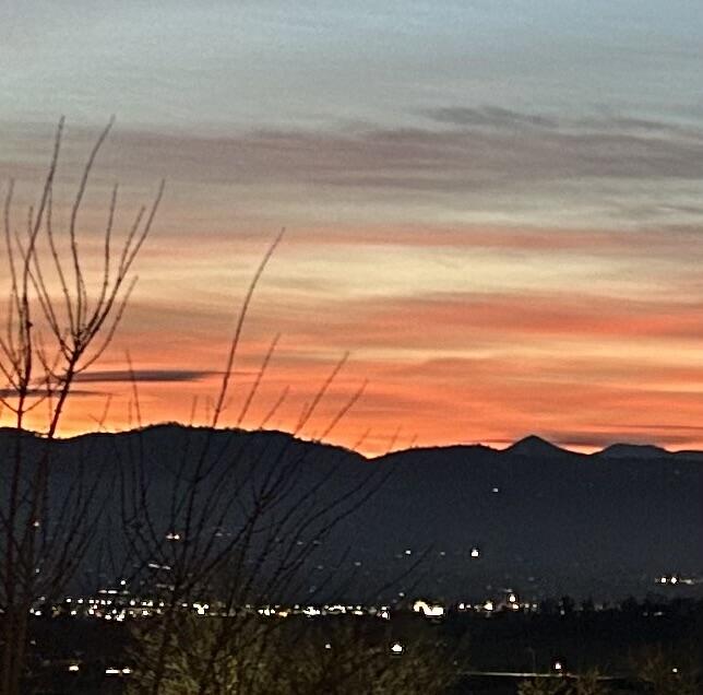 Forest Ridge At Vista Pointe Phase 1 - Residential