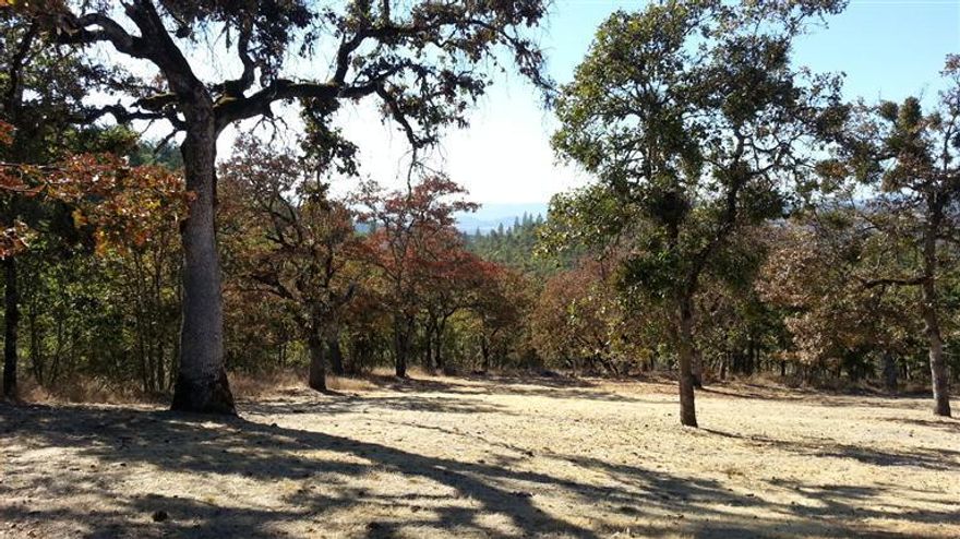 Your own mountain top retreat awaits you! Hilltop views of Sam's valley, abundant wildlife and ponderosa trees surround you. Well cared for 3 bed/2 bath home sits on 40 wooded acres. Home has plenty of space, ceiling fans, vaulted ceilings, walk-in closet and includes window treatments. 2 car detached finished garage has an approx. 12x12 ft room for plenty of storage. Property is partially fenced and includes a 1400 gallon above ground water storage tank & an 8x8 finished pump house. Private access, a seasonal creek and an adorable fully enclosed 7' high furnished child's playhouse w/built in staircase is all yours. RV parking w/hook-ups and very nice chicken coop. This is a must see!! All information deemed accurate but not guaranteed and subject to change at any time.