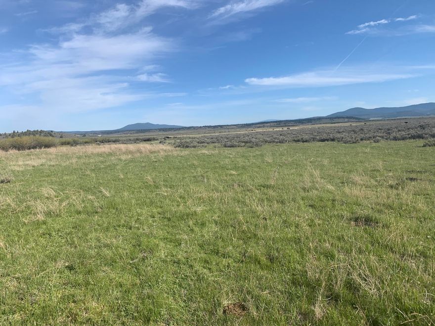 Cattle grazing pasture in Sprague River Valley with Hwy 140 frontage. Property has springs for seasonal stock water- the springs sub irrigate portions of the ranch as well. Property is buildable -- near the Sprague River with mountain and valley views.