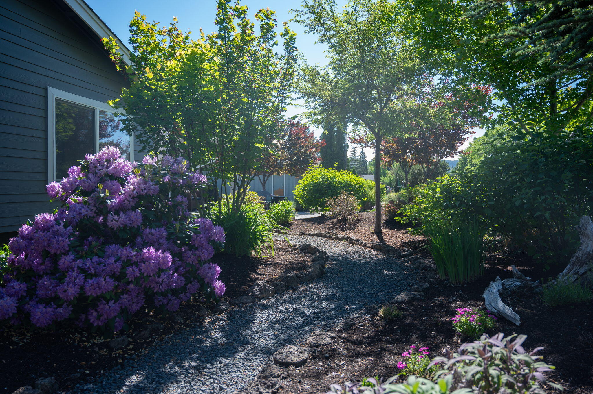 North Pilot Butte - Residential