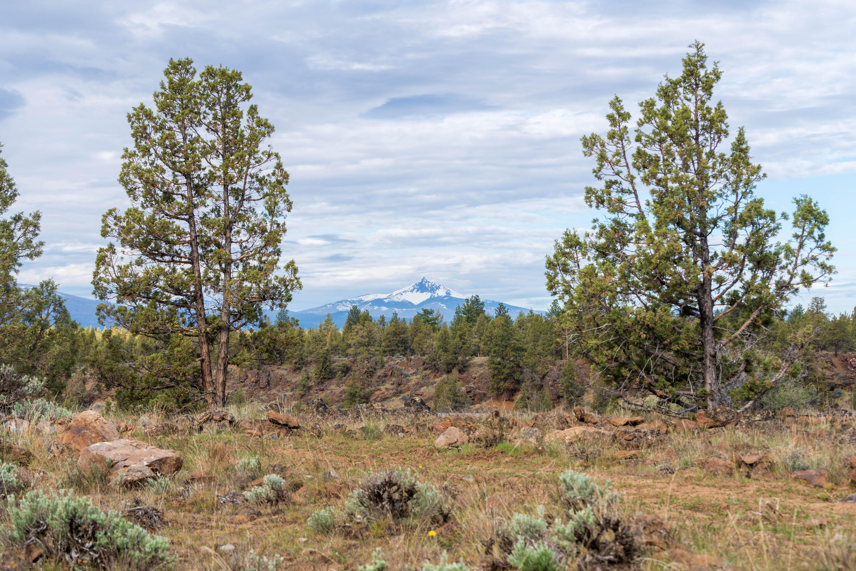 69740 McKenzie Canyon Road