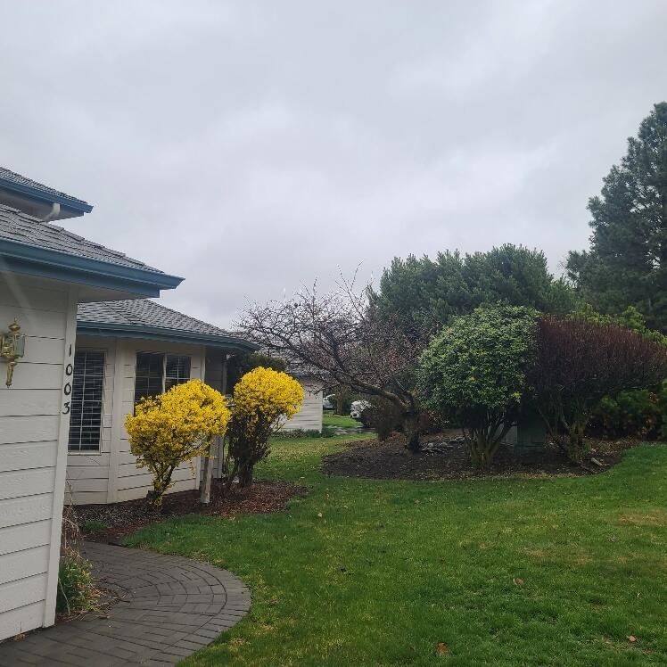 Harbor Isles - Residential