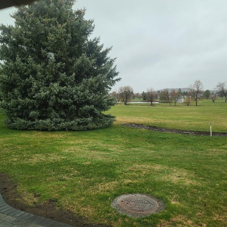 Harbor Isles - Residential