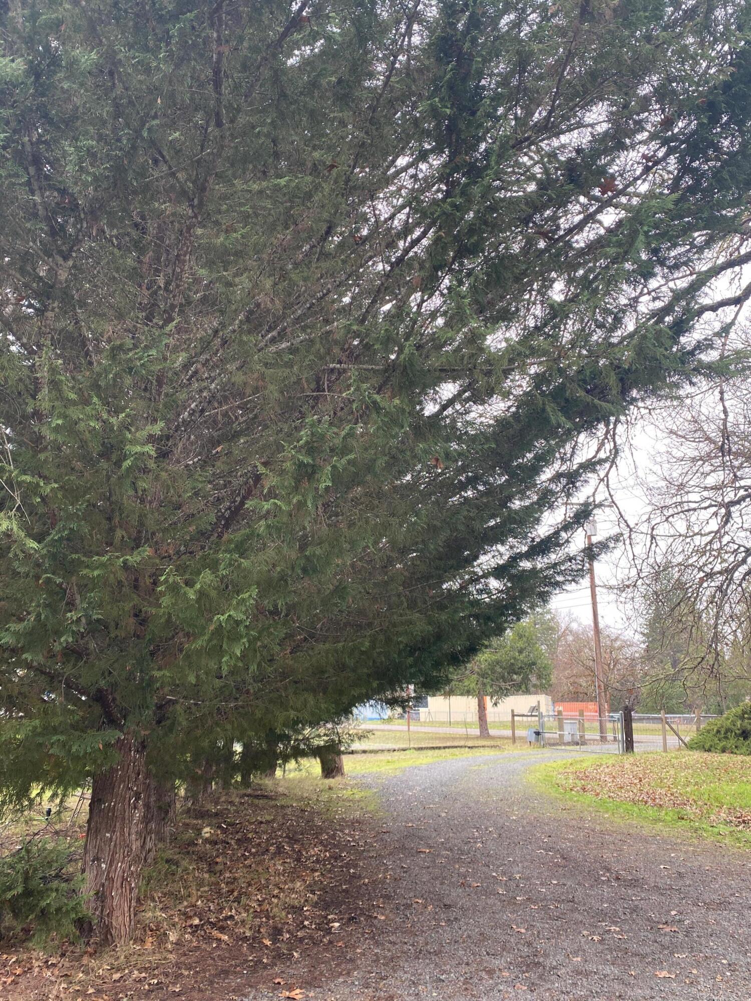 Rogue River Irrigated Orchard Lands - Residential