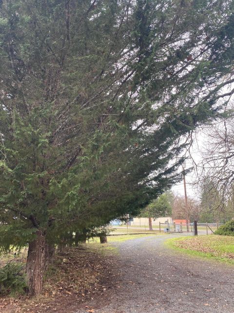 Tiny photo for 7994 E Evans Creek Road, Rogue River, OR 97537 (MLS # 220212965)