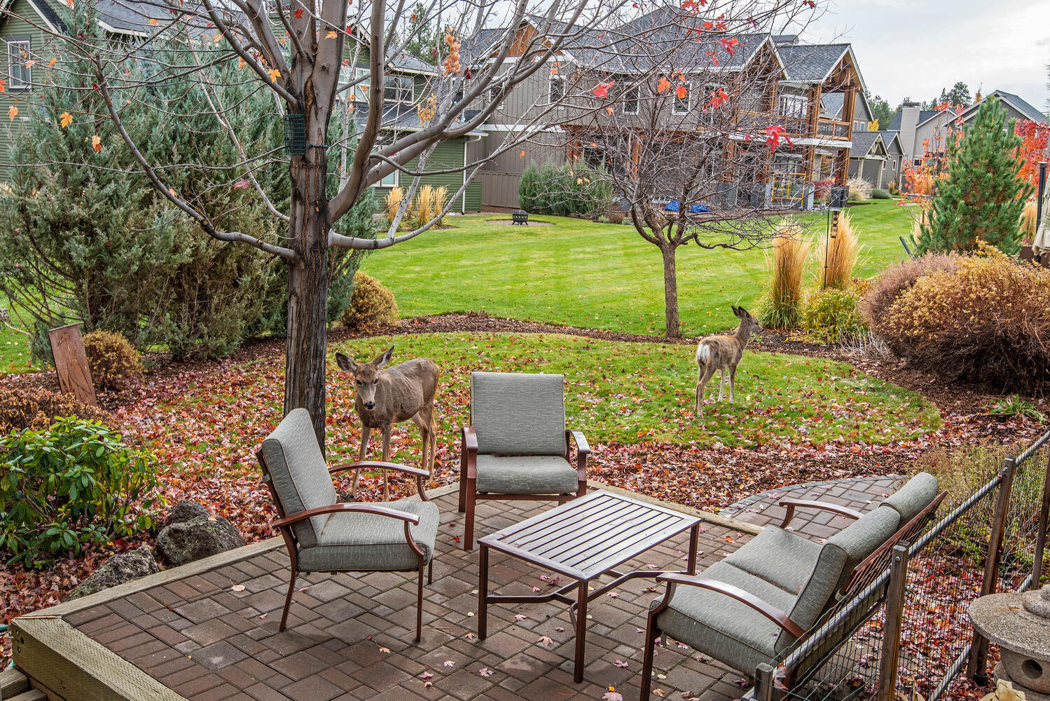 Pine Meadow Vill - Residential