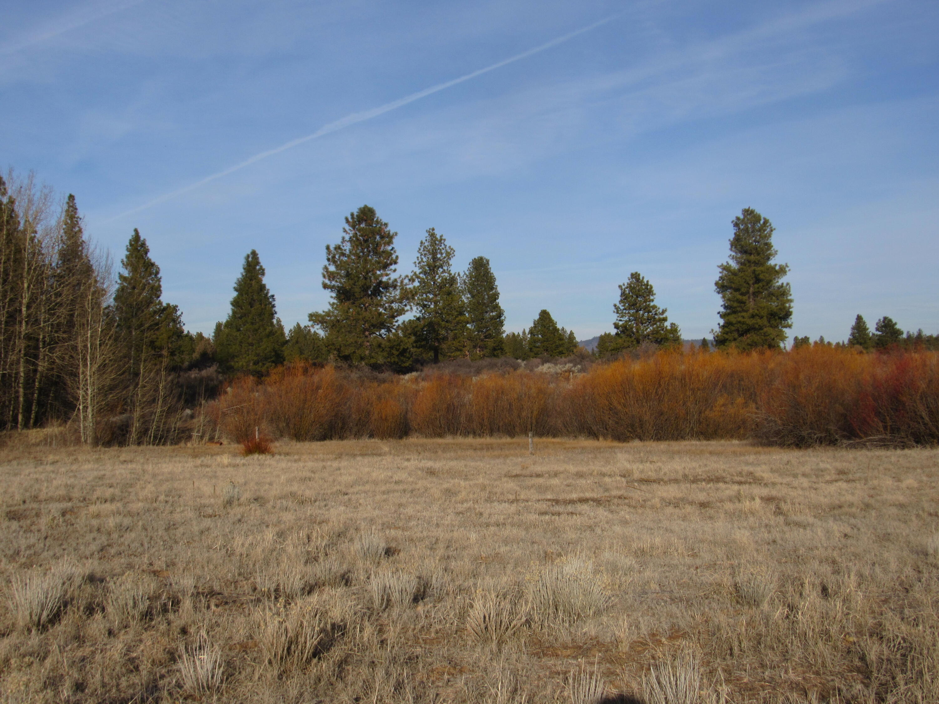 Oregon Shores -Unit 2 - Land