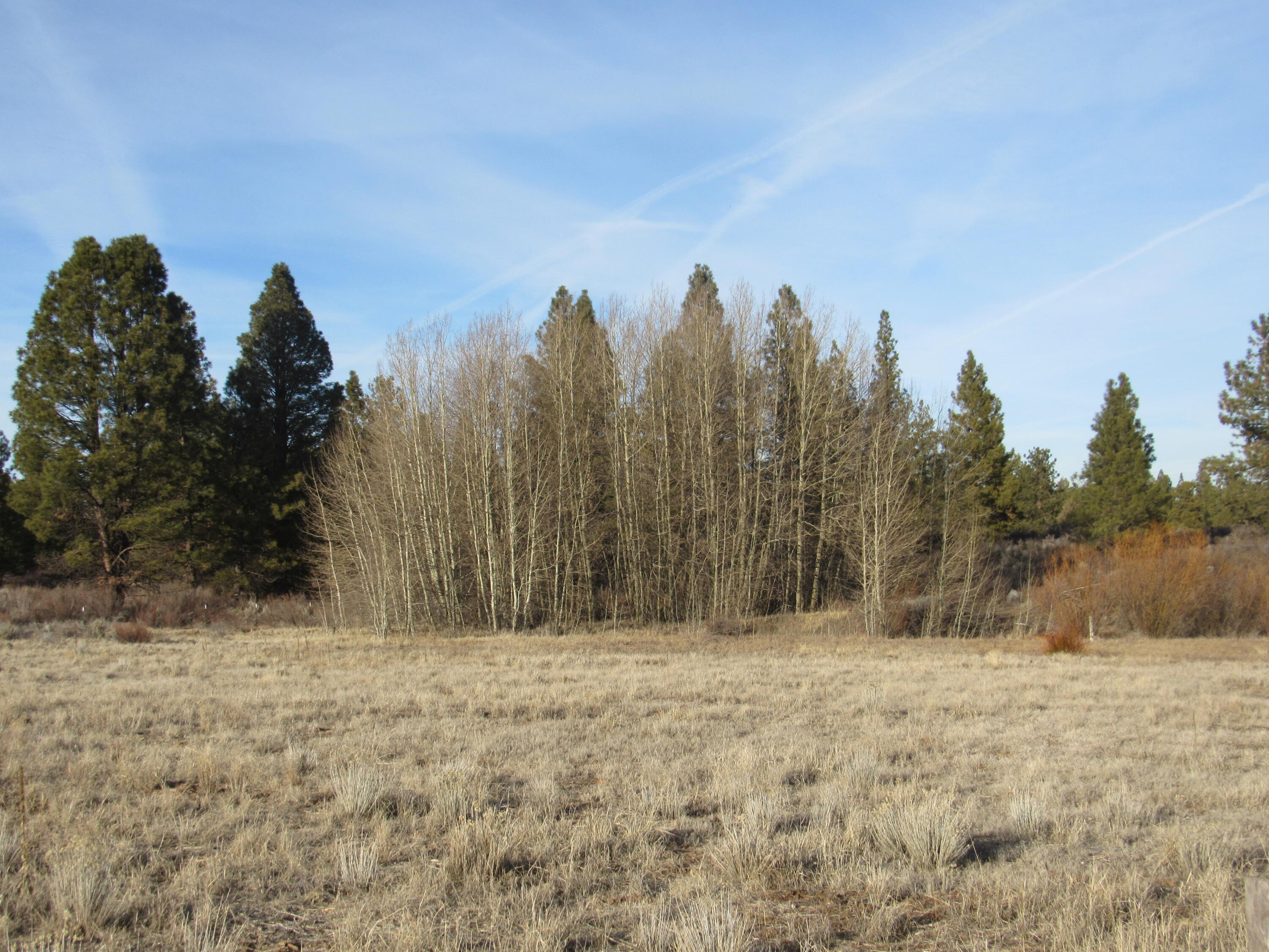 Oregon Shores -Unit 2 - Land