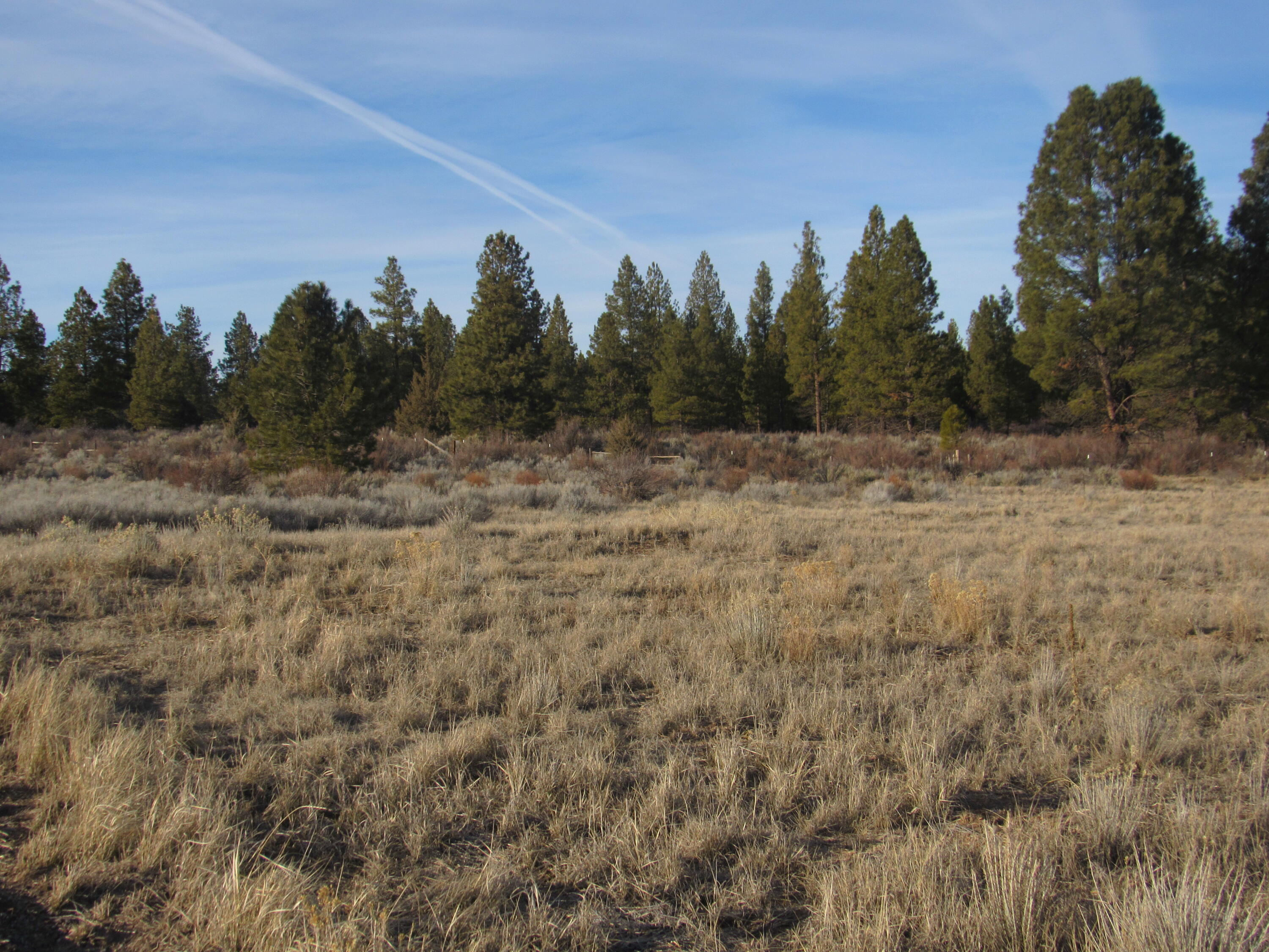 Oregon Shores -Unit 2 - Land