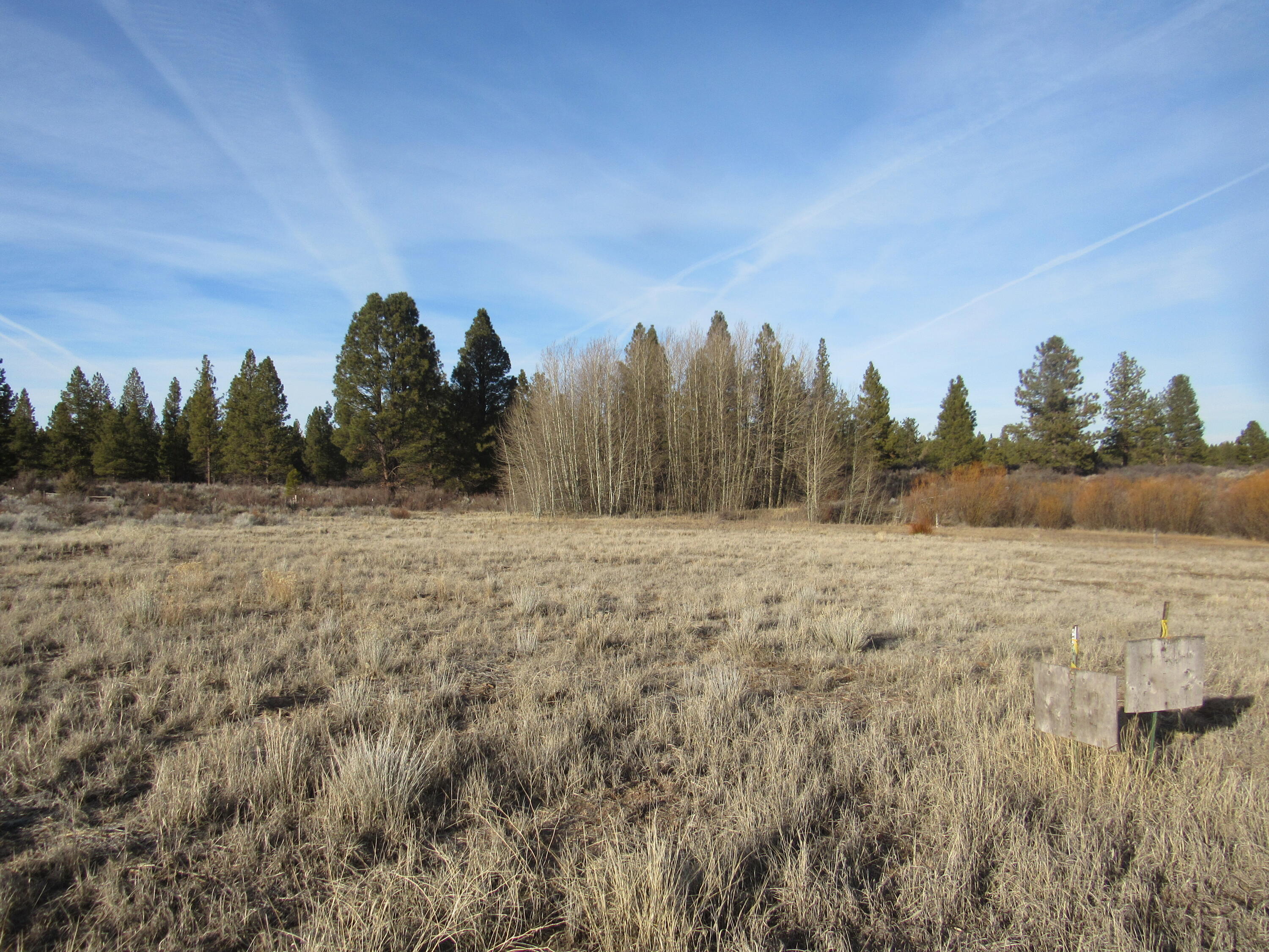 Oregon Shores -Unit 2 - Land