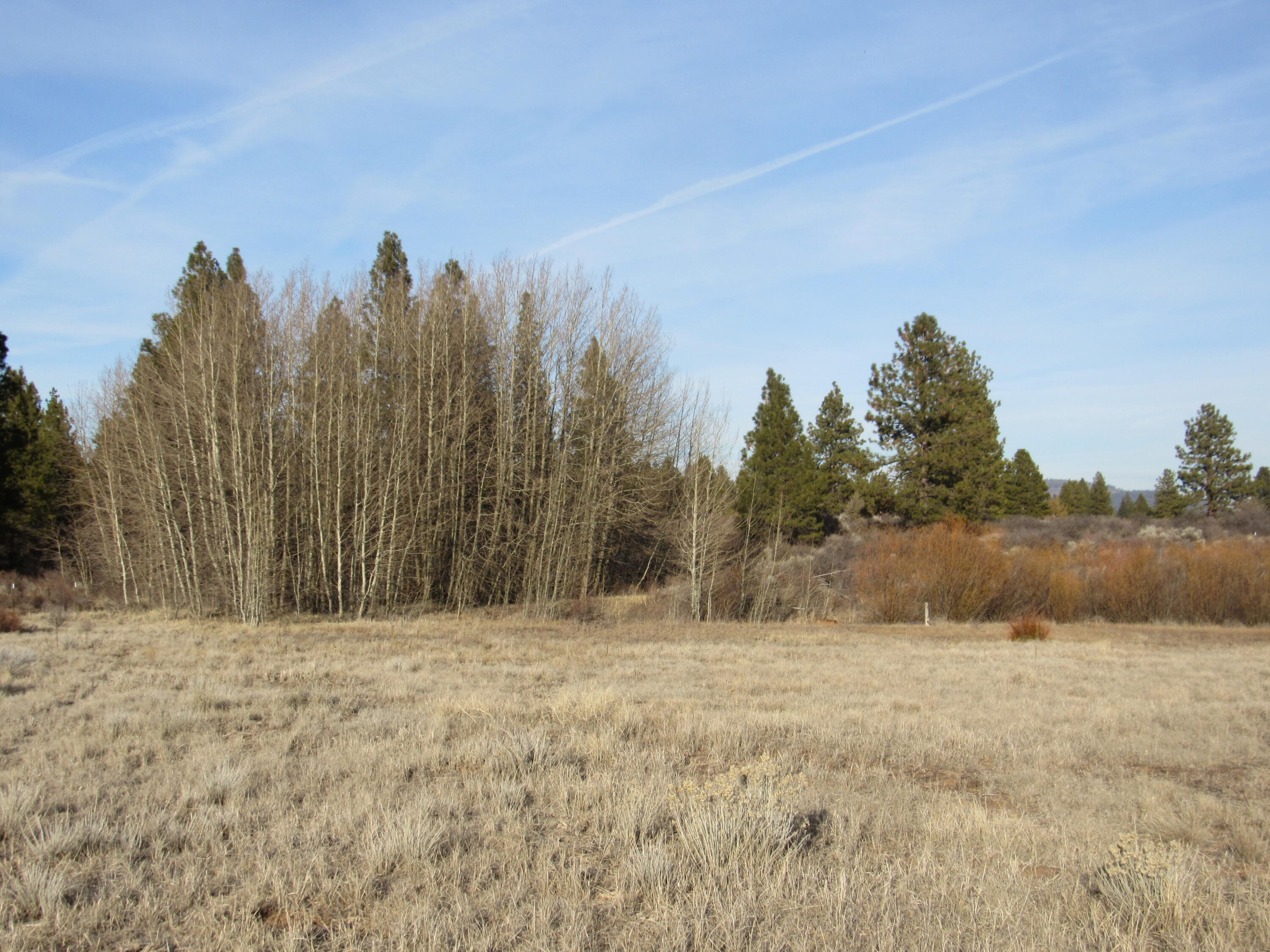 Oregon Shores -Unit 2 - Land