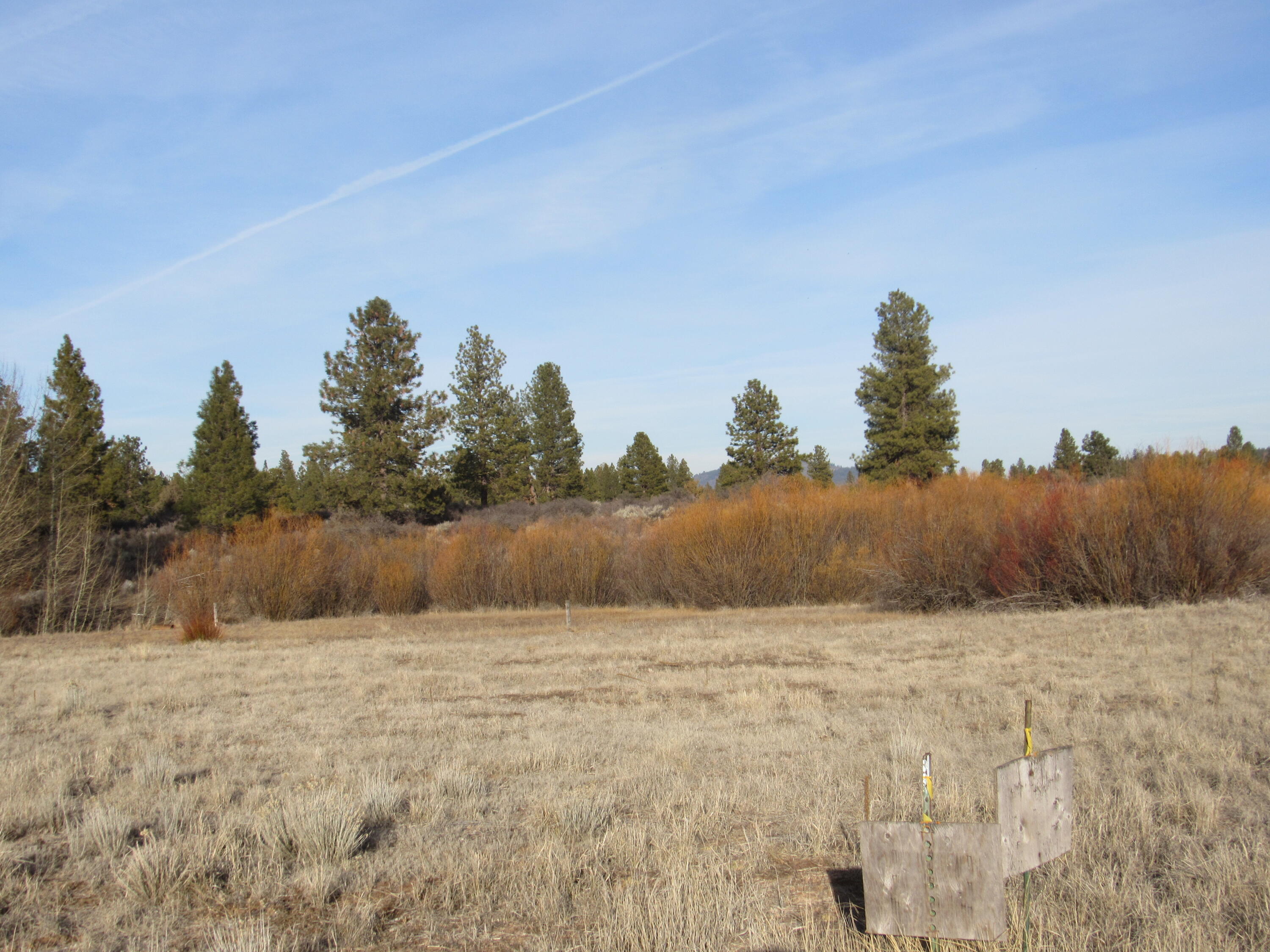 Oregon Shores -Unit 2 - Land