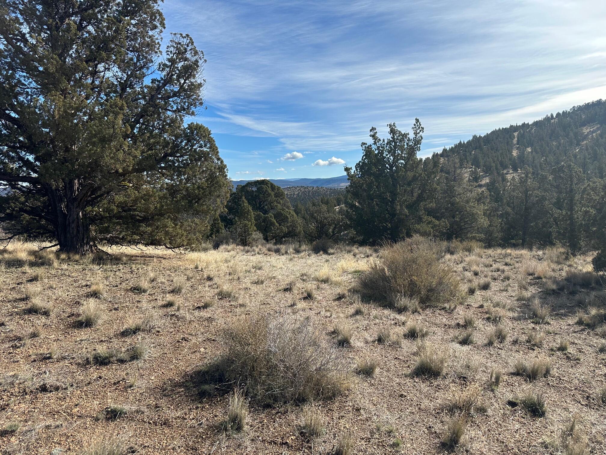 Juniper Hills - Land