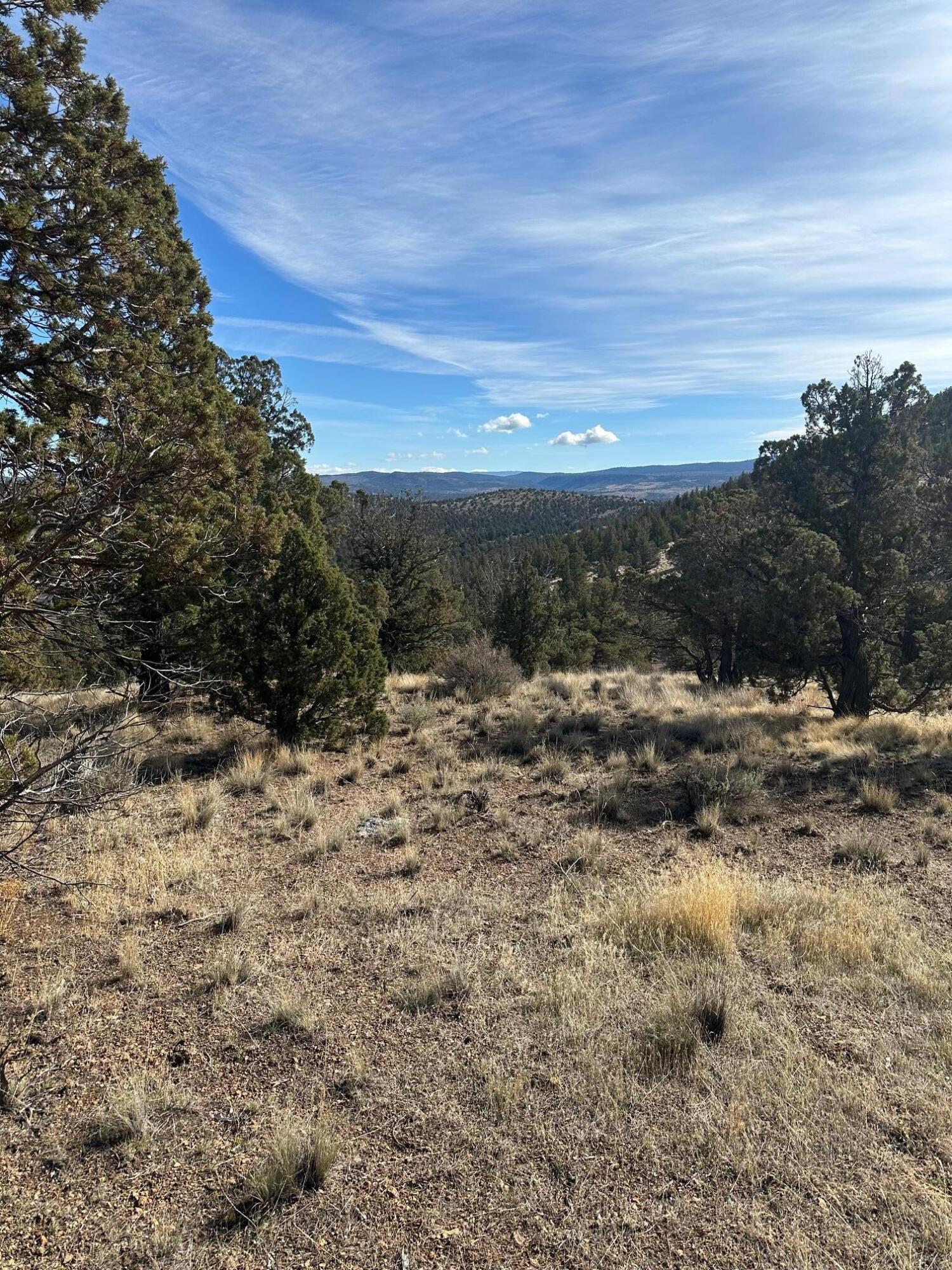 Juniper Hills - Land