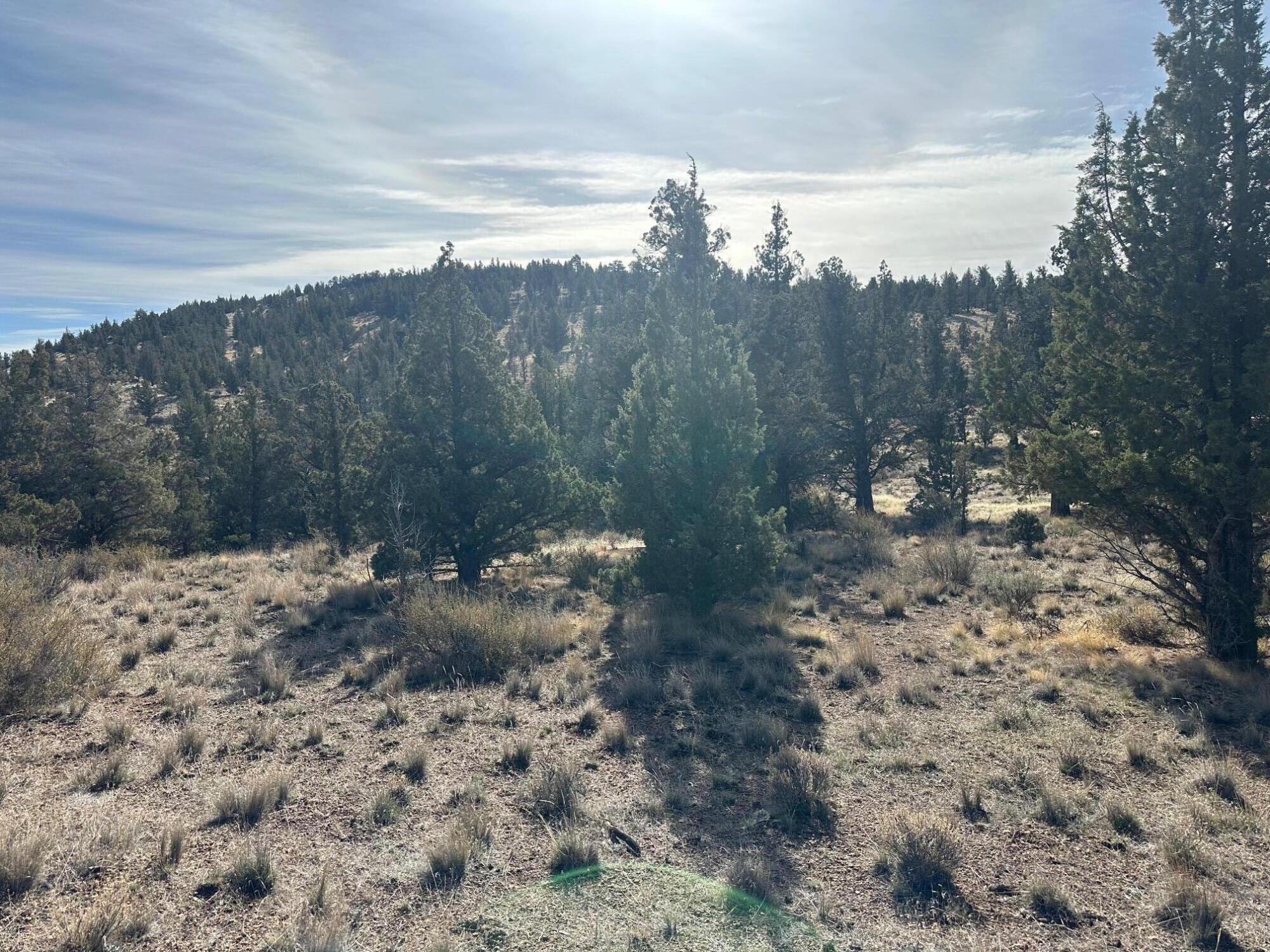 Juniper Hills - Land