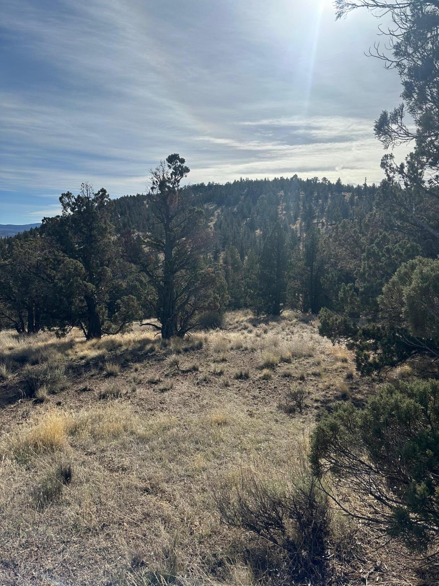 Juniper Hills - Land