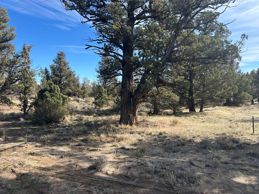 Looking for your perfect getaway? Here is just over half an acre of privacy for your final touches. Build a home or just recreate in the summer. Just minutes from Prineville Reservoir and a short drive to town makes this a perfect blank canvas. Power is close by. Lot 3 can also be purchased together for a discount of $60,000 for both.