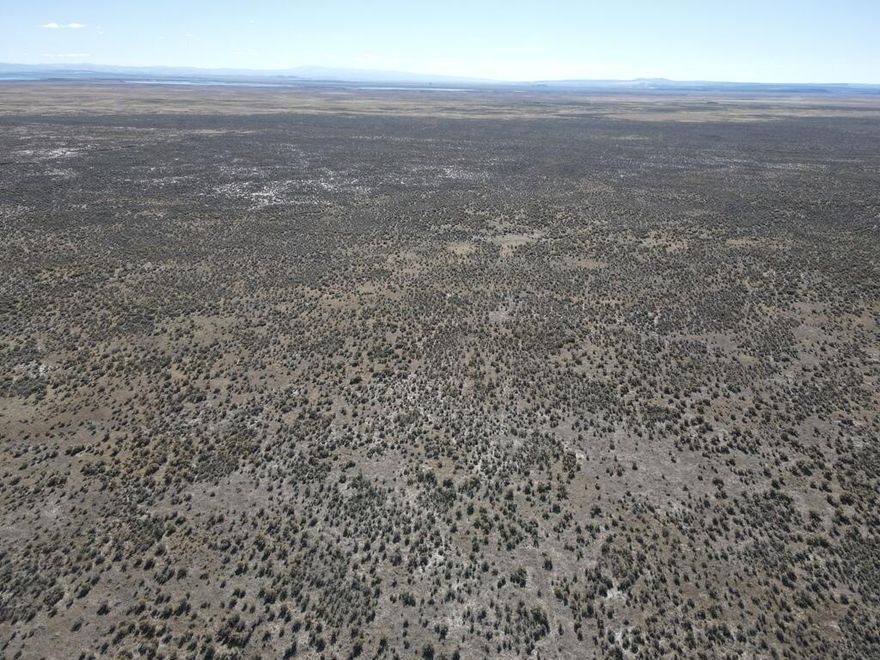 160 acres of property is ready for your finishing touch. It will provide great views and your own little slice of heaven. This property is approximately 20 miles south of Burns, and close to the Narrows Restaurant and RV Park  and Malheur National Wildlife Refuge.
This place is waiting for your vision. So, build your forever home, move one on, use it for recreation or expand your grazing area. You will love the peace and quiet and the wide open views.
In order to build a home on this parcel you will need to apply for and get approved for a conditional use permit (CUP) from the county. You will also need to have a domestic well and septic tank installed on the property. Electricity is close by - on Ruh Red Lane.
NOTE: Buyer to do their own due diligence regarding legal access.