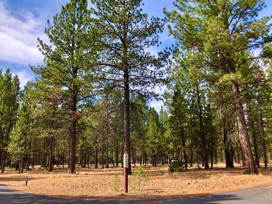 Excellent vacant land offering in the hideaway Central OR community of Wild River.  This nearly 1/3 acre nicely treed lot is uphill of and footsteps away from the gently-pooled waters of the local otter pond and rushing rapids of Pringle Falls!  This level, easy-build parcel occupies a prominent corner location in the high bank area of the community and enjoys an array of surrounding lovely homes and CCR-protected community living.  Private member access to the east and west banks of the Big Deschutes River, walking trails, paved roads, underground utilities, and an inviting opportunity to develop a getaway lifestyle near the amenities of Bend, Sunriver and abundant year-round Central OR recreation!