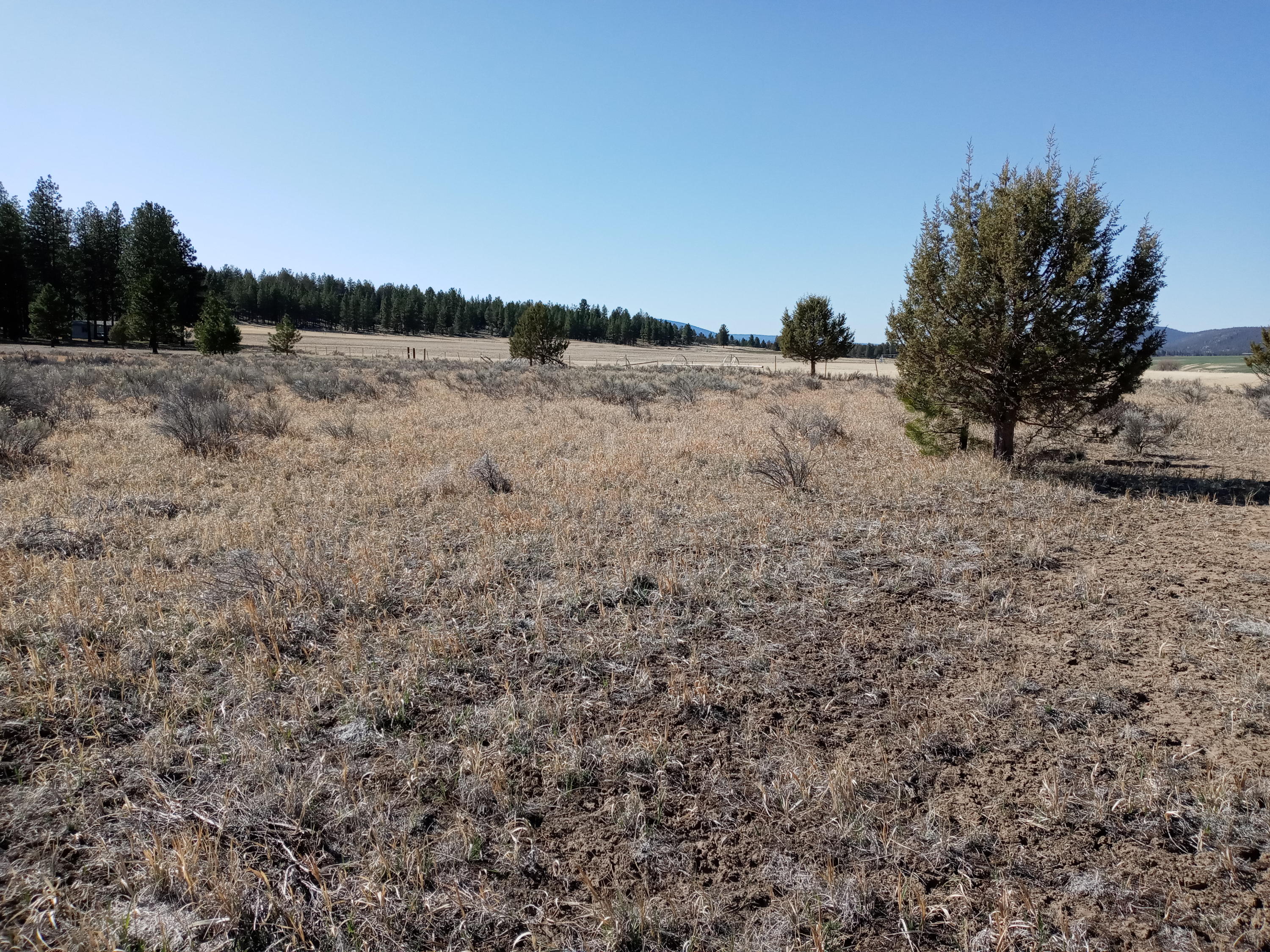 Klamath Falls Forest Estates -Hwy 66 Unit -Plat No. 2 - Land