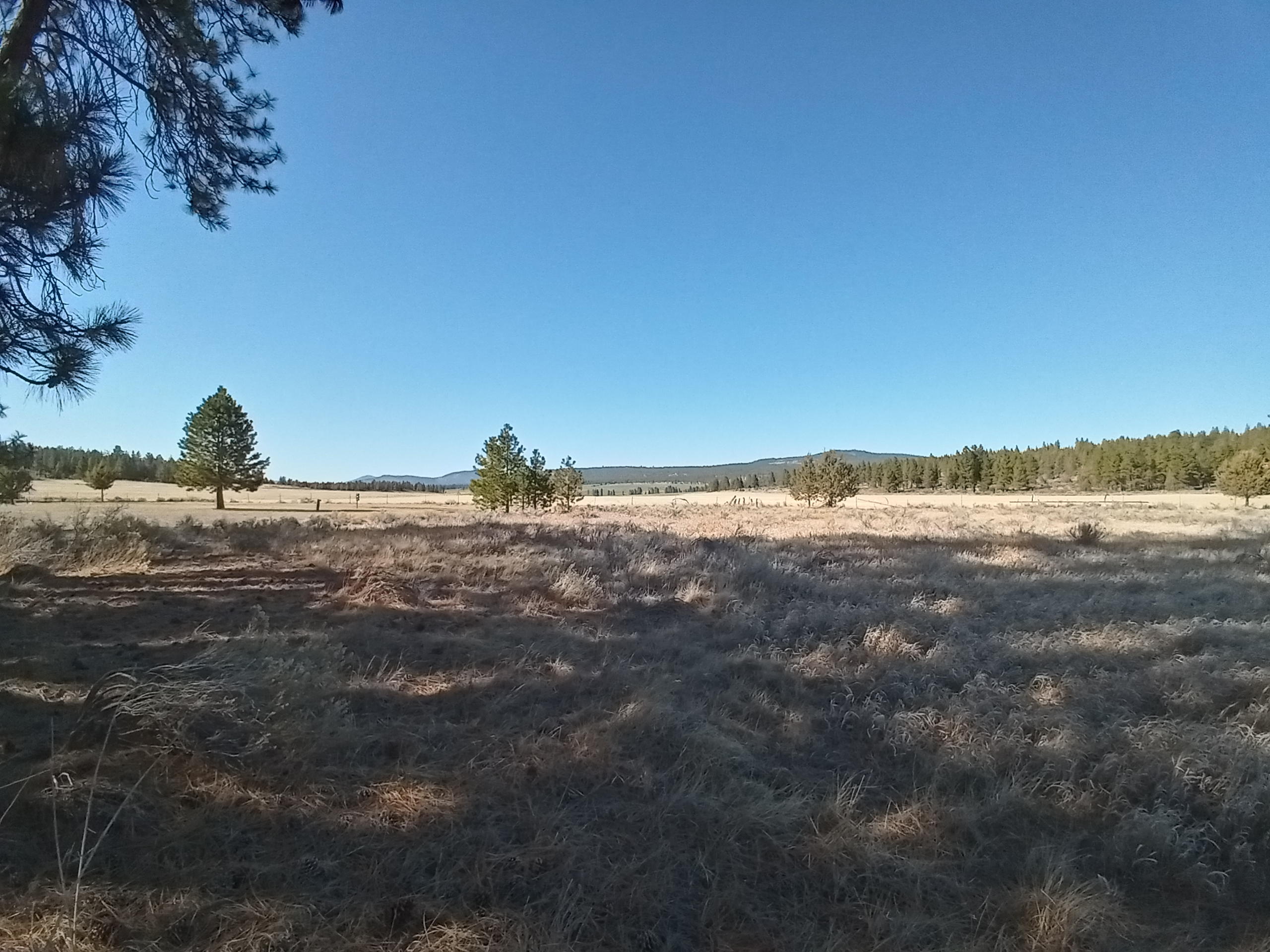 Klamath Falls Forest Estates -Hwy 66 Unit -Plat No. 2 - Land