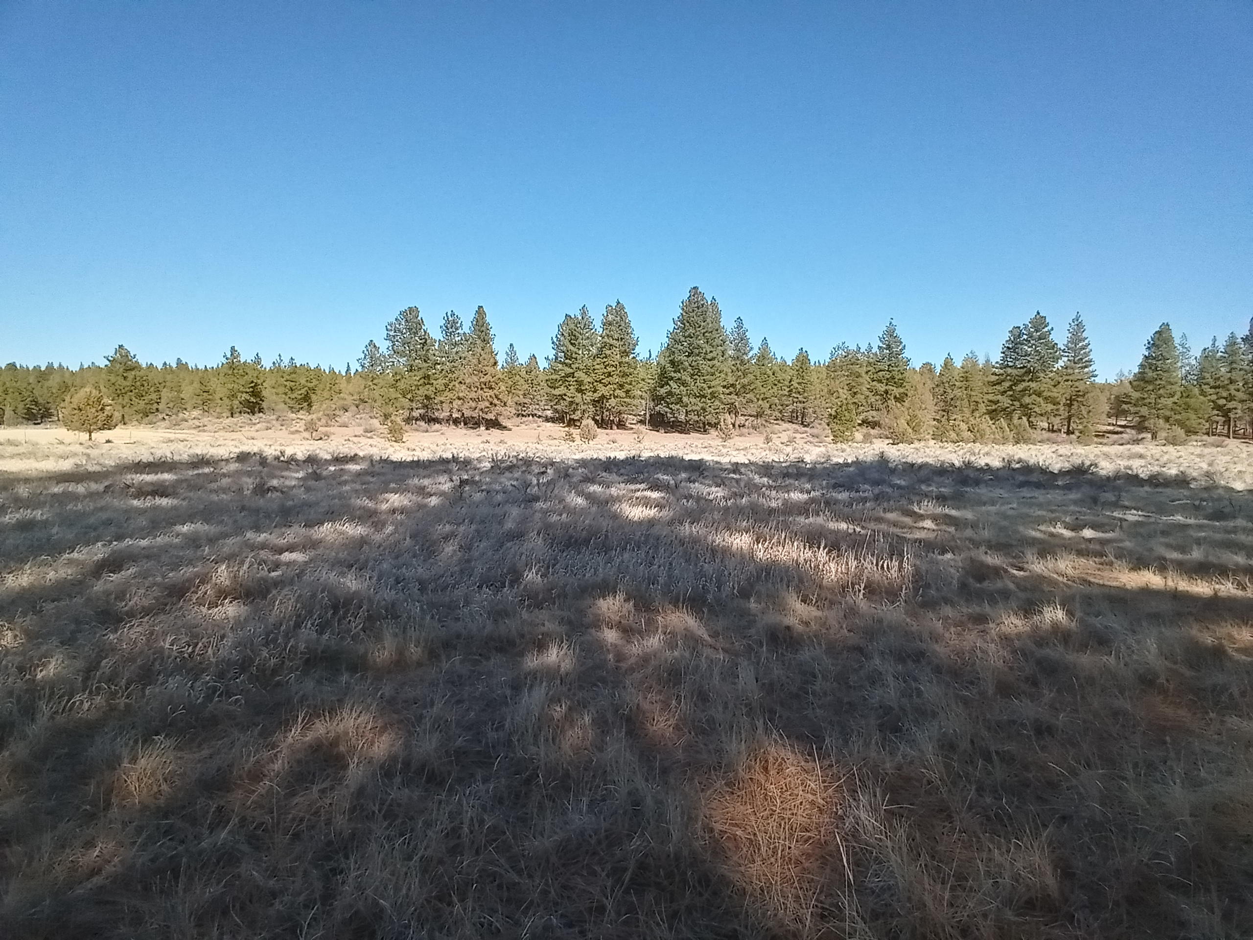 Klamath Falls Forest Estates -Hwy 66 Unit -Plat No. 2 - Land