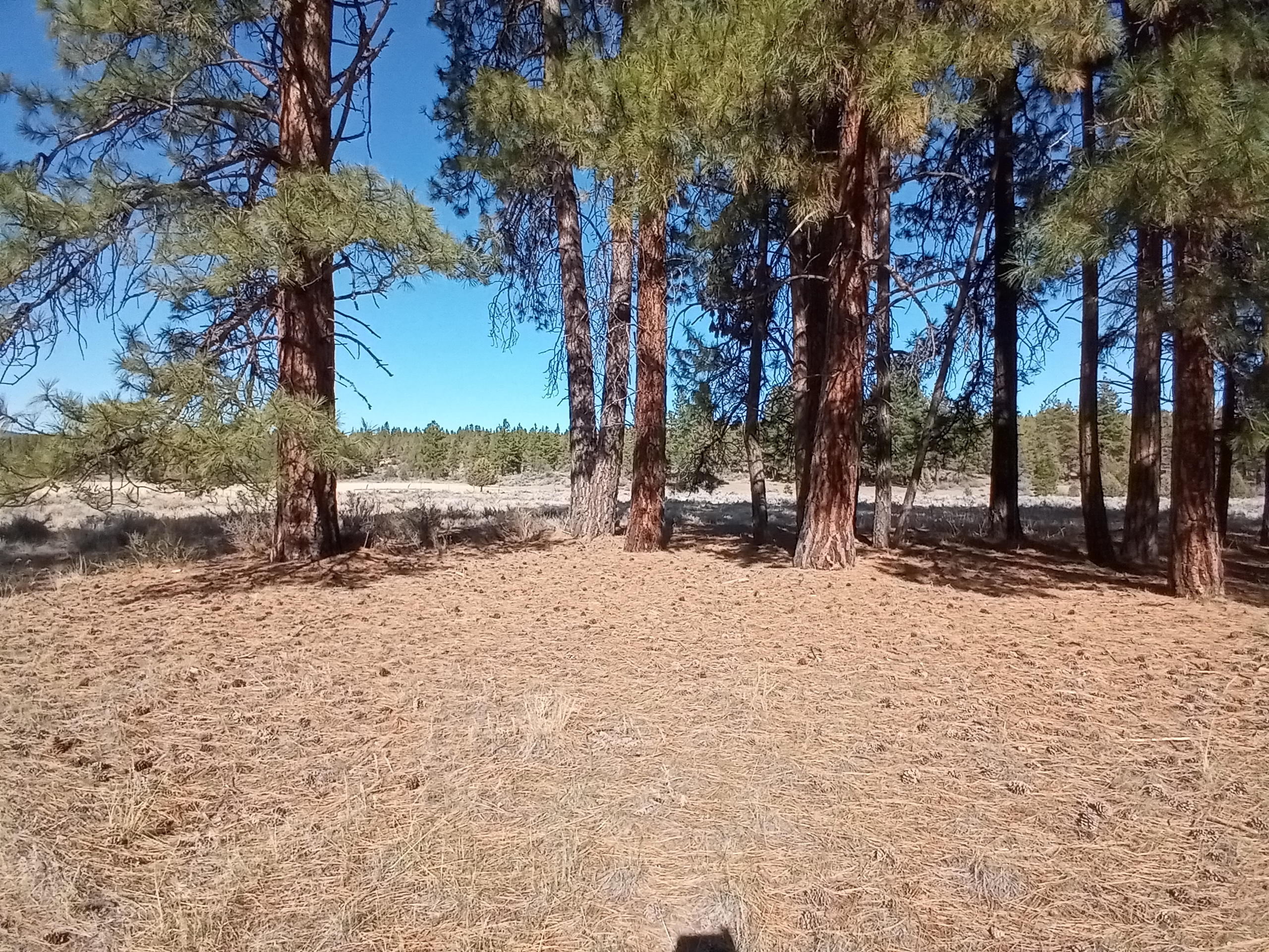 Klamath Falls Forest Estates -Hwy 66 Unit -Plat No. 2 - Land