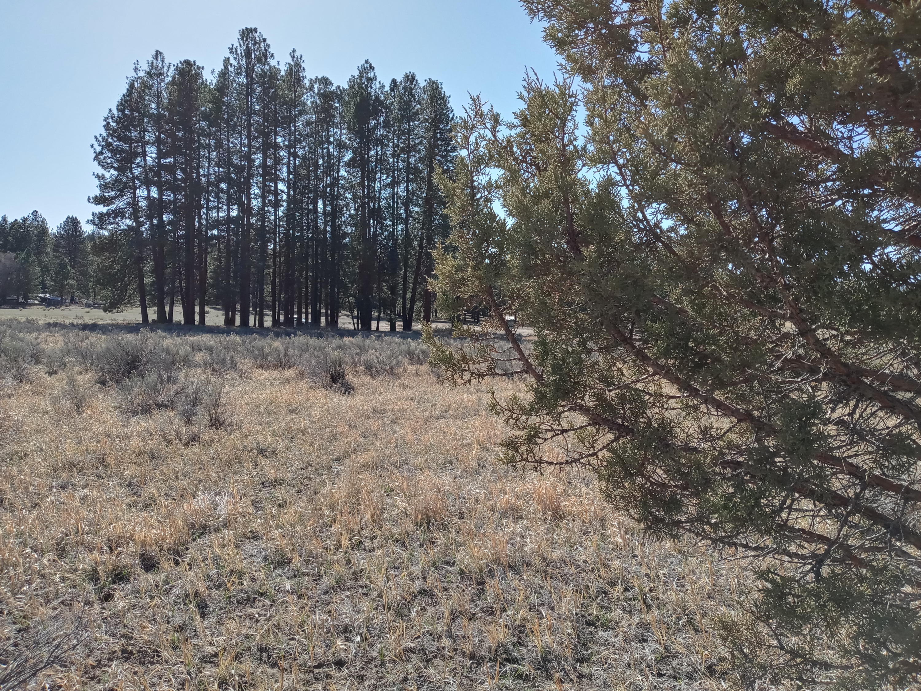 Klamath Falls Forest Estates -Hwy 66 Unit -Plat No. 2 - Land