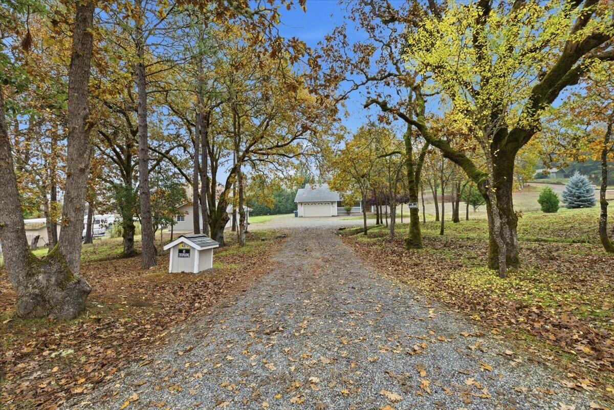 Carrollwood Subdivision - Residential